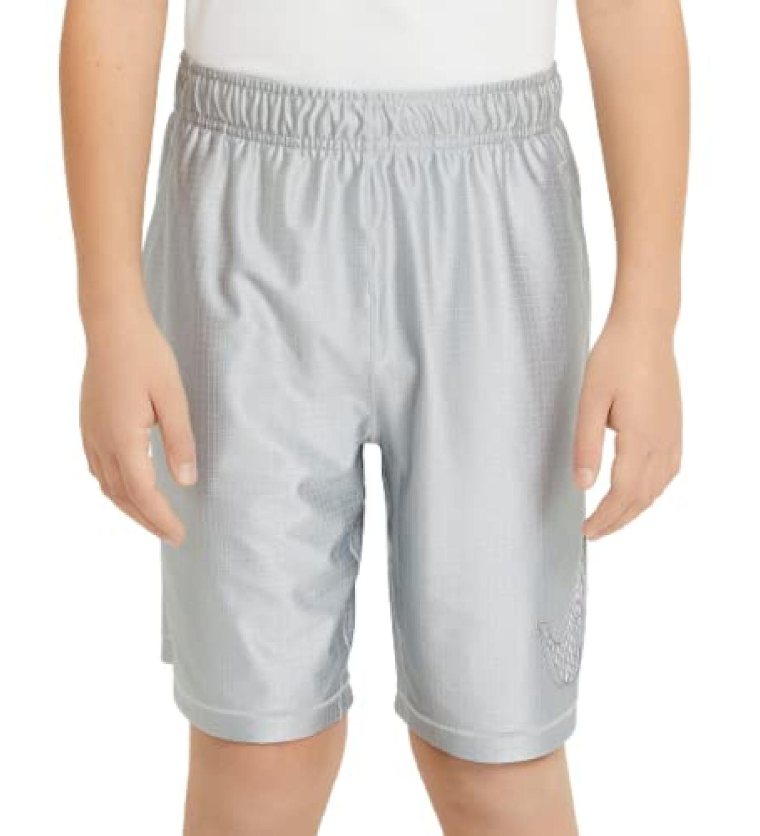 Nike Boys Dri-Fit Graphic Shorts Light Smoke Grey/White Large | Youth Athletic Wear - Buy Online on GoSupps.com