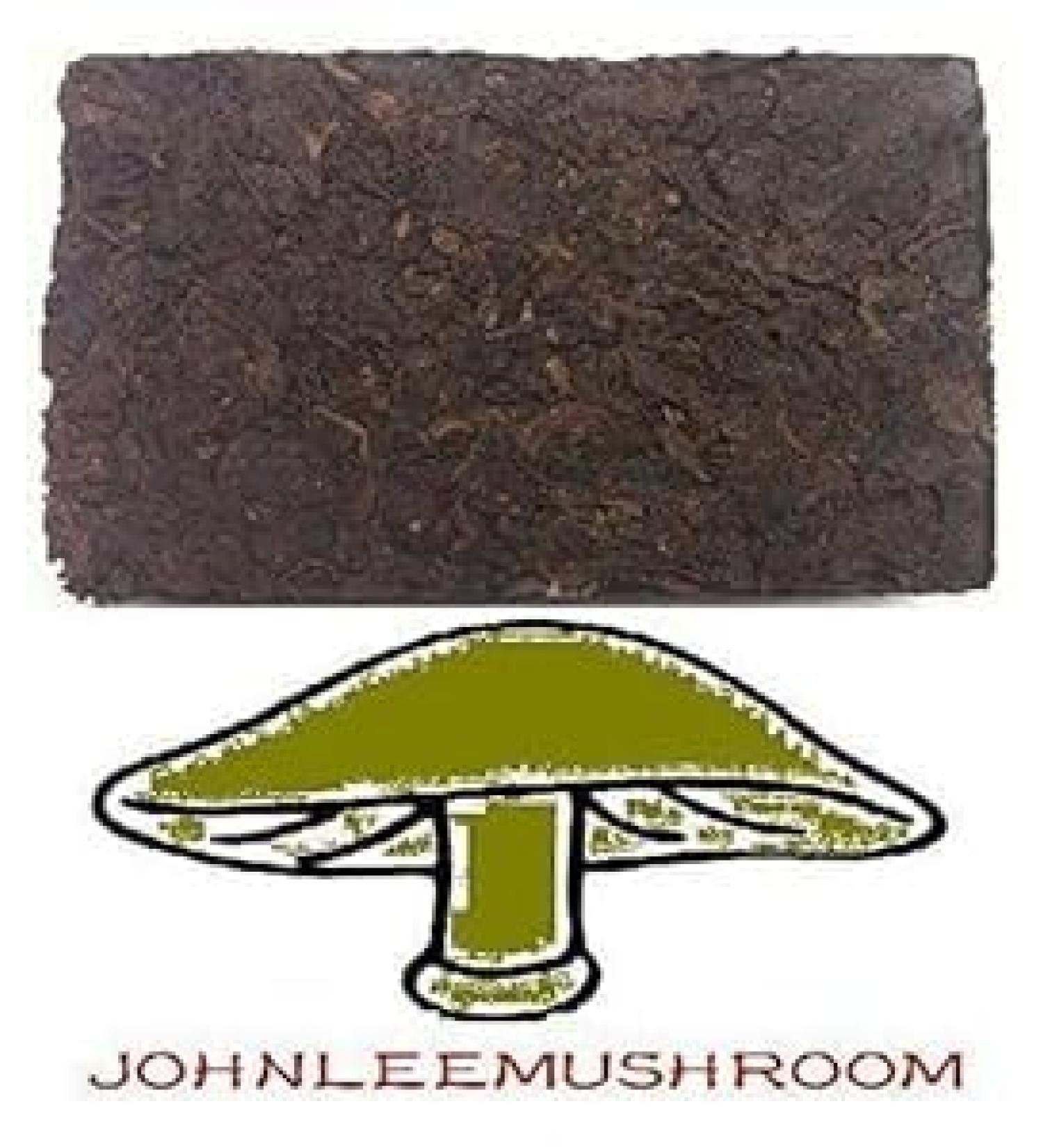WENXUANSU: Pu erh fermented black tea brick Grade A 500 grams bag packing