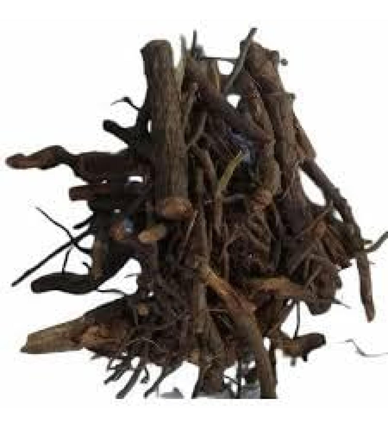 Chitrak (Roots) (Lal Chitrak) - Chita Mool - Chita Root - Chita Jadd - Chitra - White Leadwort - Plumbago Zeylanica Root 200 gram