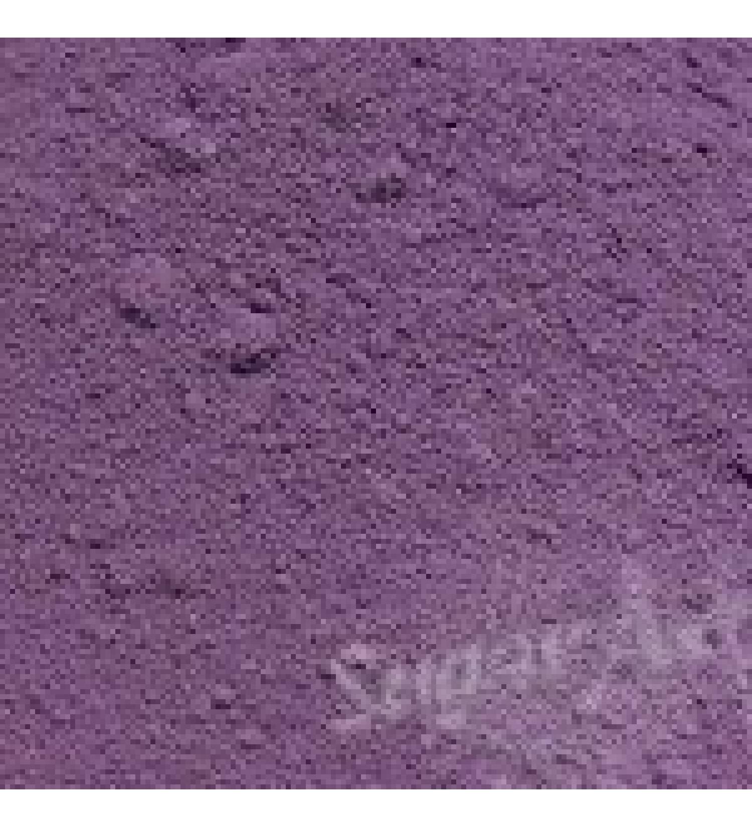 Frosted Iris Petal Dust Powder Food Color 0. 5 oz