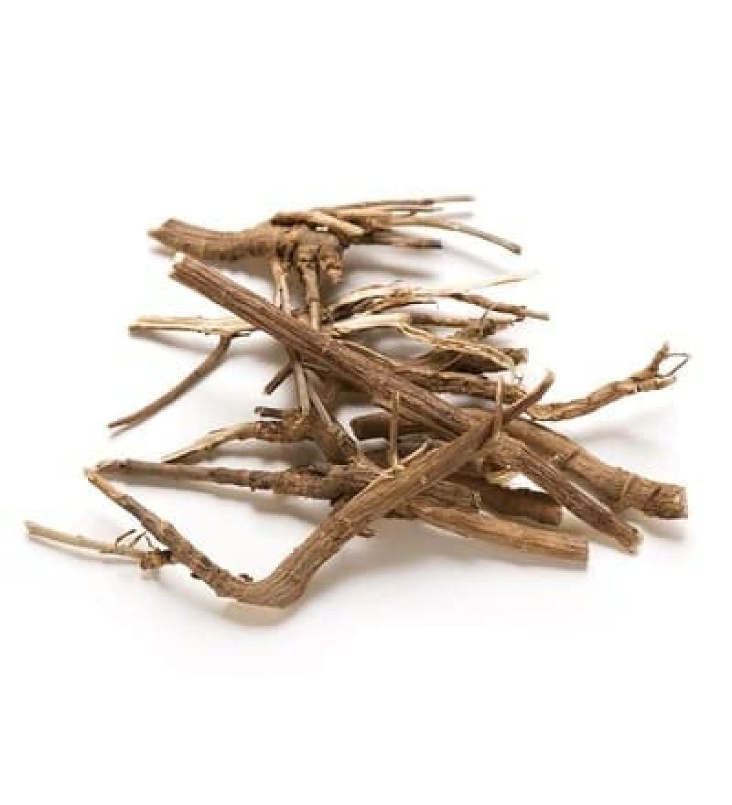 TCM Herbs USA Chai Hu / Bupleurum Smithii / Radix Bupleuri / Hare's Ear Root / Thorowax Root (8 oz)