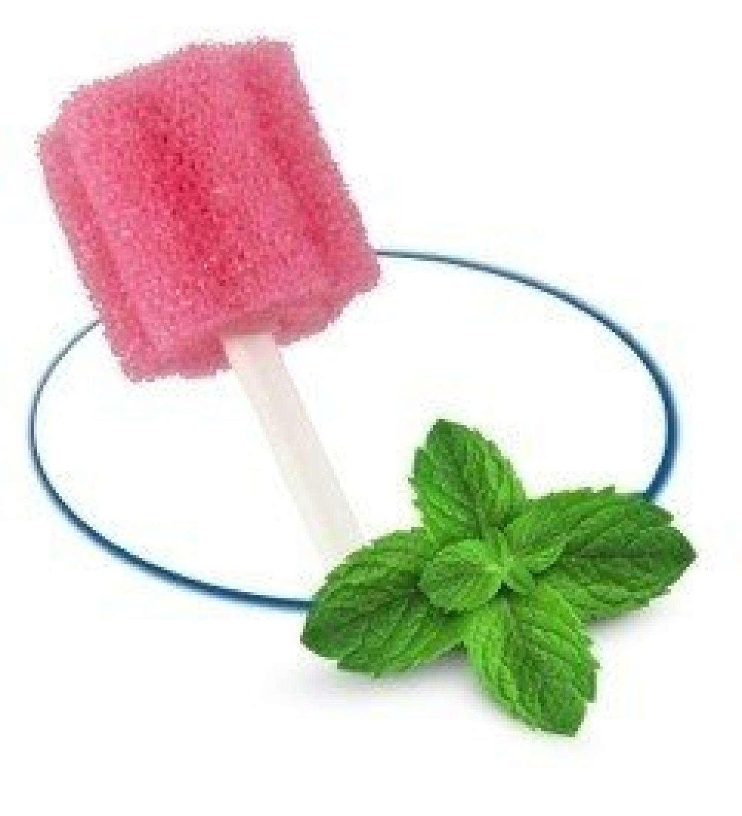 Mouth care sticks mint 250 pieces