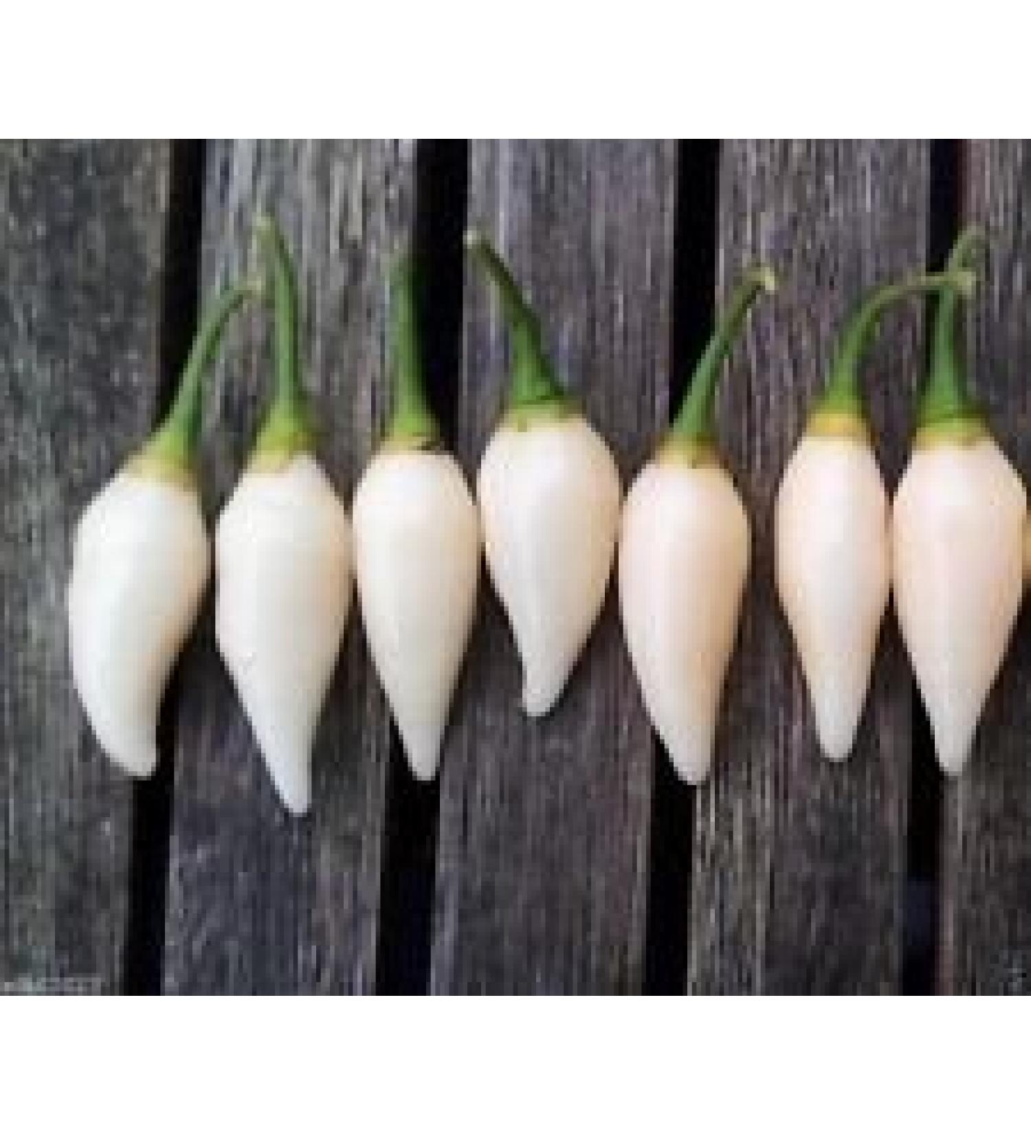 25 semi di Pepe Coyote Zan Bianco (Capsicum chinense) - dal Brasile