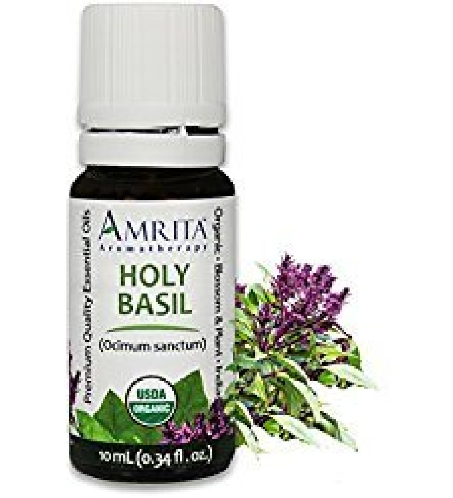 Organic Holy Basil (Tulsi) Essential Oil 100% Pure and Undiluted Ocimum Sanctum Premium Quality Aromatherapy Oil Tested and Verified Size: 60mL (2 Fl. Oz.) Basil 2 Fl Oz (Pack of 1)