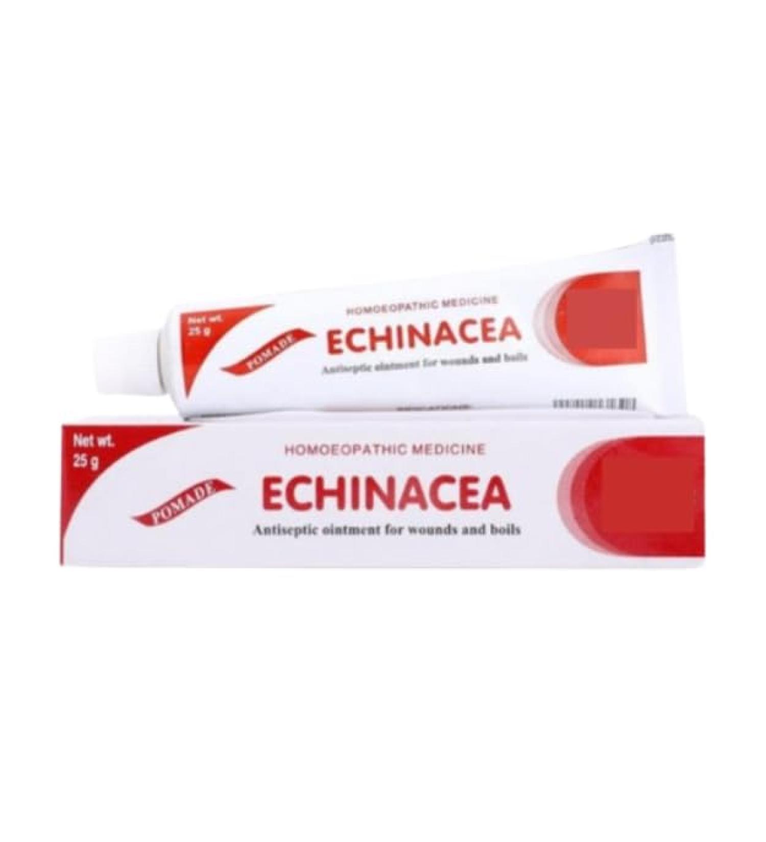 0.88Ounce / 25gm Echinacea (Pack of 1)
