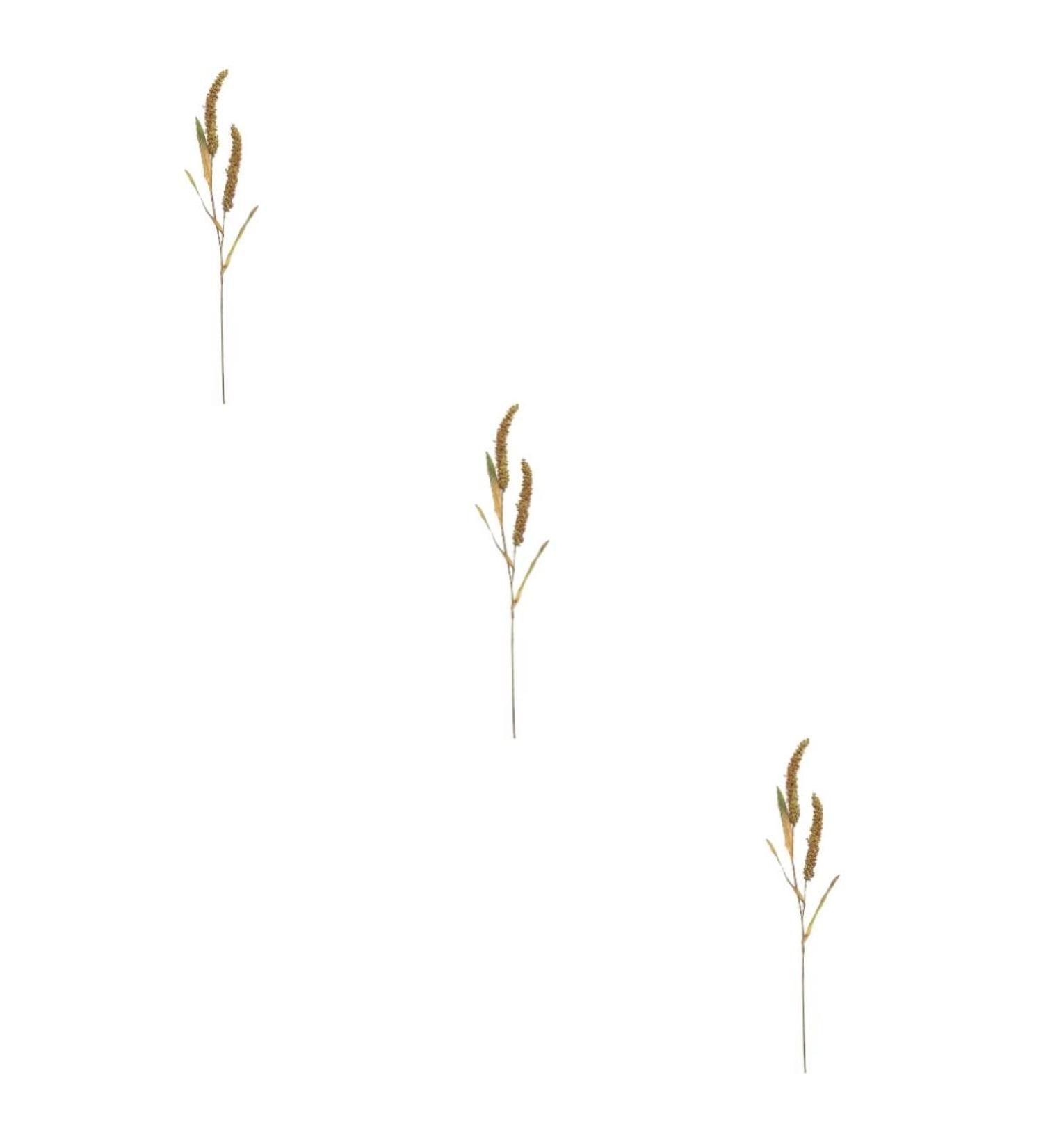 Zerodeko 3pcs Simulated Ears of Corn Plant Decor Dried Wheat Stalks Artificial Wheat Ears Artificial Grasses Bundle Fake Wheat Ears Simulation Wheat Ears Dried Millet Household Iron Straw Greenx3pcs 12X75CMx3pcs - Buy Online on GoSupps.com