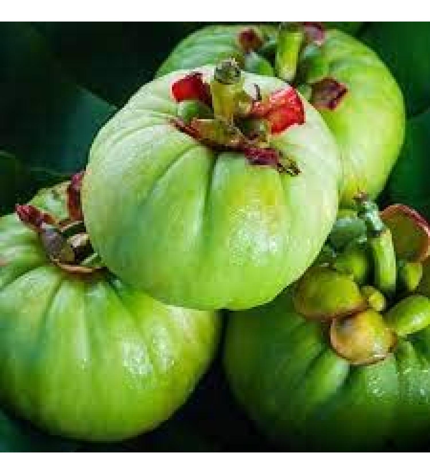 Garcinia cambogia - Buy Online on GoSupps.com