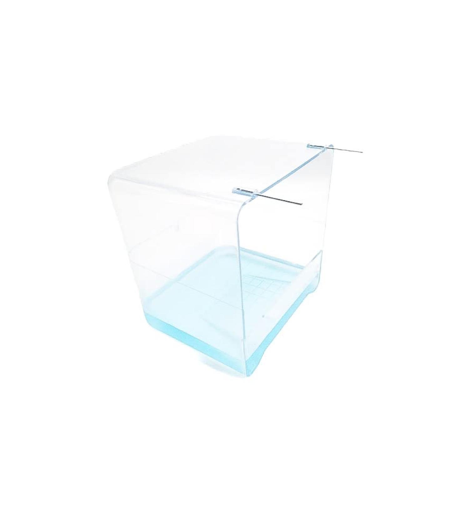 Large Clear Bird Bath for All Bird Cages and Small Birds - Canary Budgies Finch Cockatiel Lovebird Parakeet - Buy Online on GoSupps.com