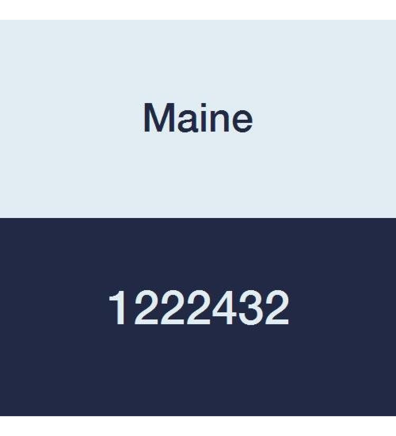 Maine 1222432 PES Capsule Filter Hydrophilic Polyester Housing 0.4 m Pore Size 0.25-0.5 Stepped Hose Barb