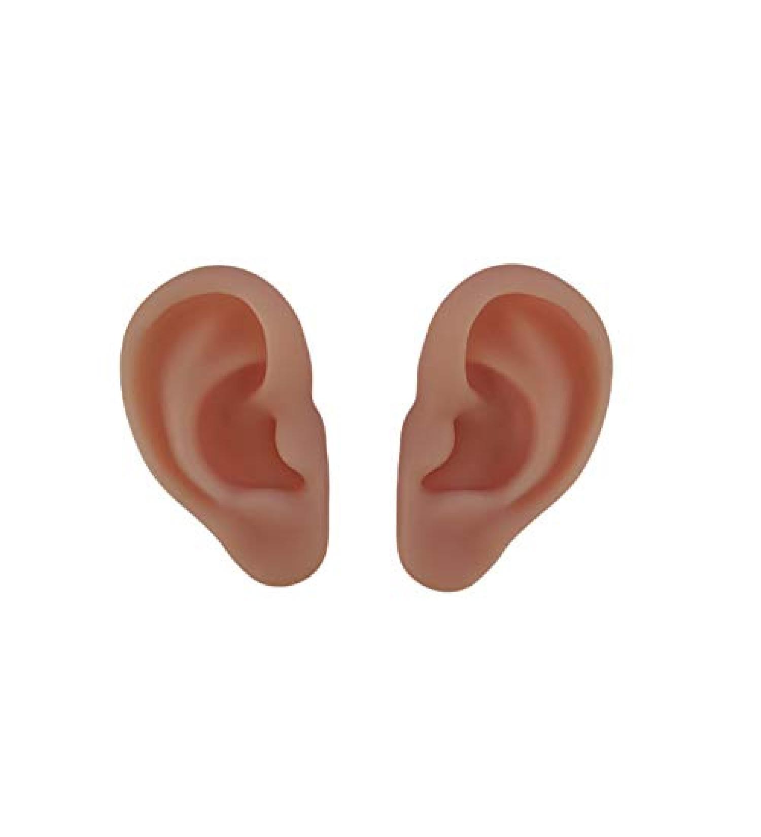 Silicone Ear Models Soft Silicone Artificial Ear Model for Ear Picking Practice Used for Acupuncture Practice Training Headset Display Props(1 Pair) - Buy Online on GoSupps.com