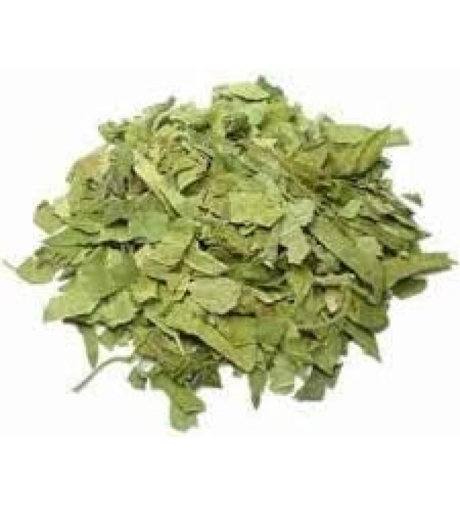 ORGANIZE AOZA Organic Green Herb Gurmar Gudmar Gymnema Sylvestere Dry 400gm