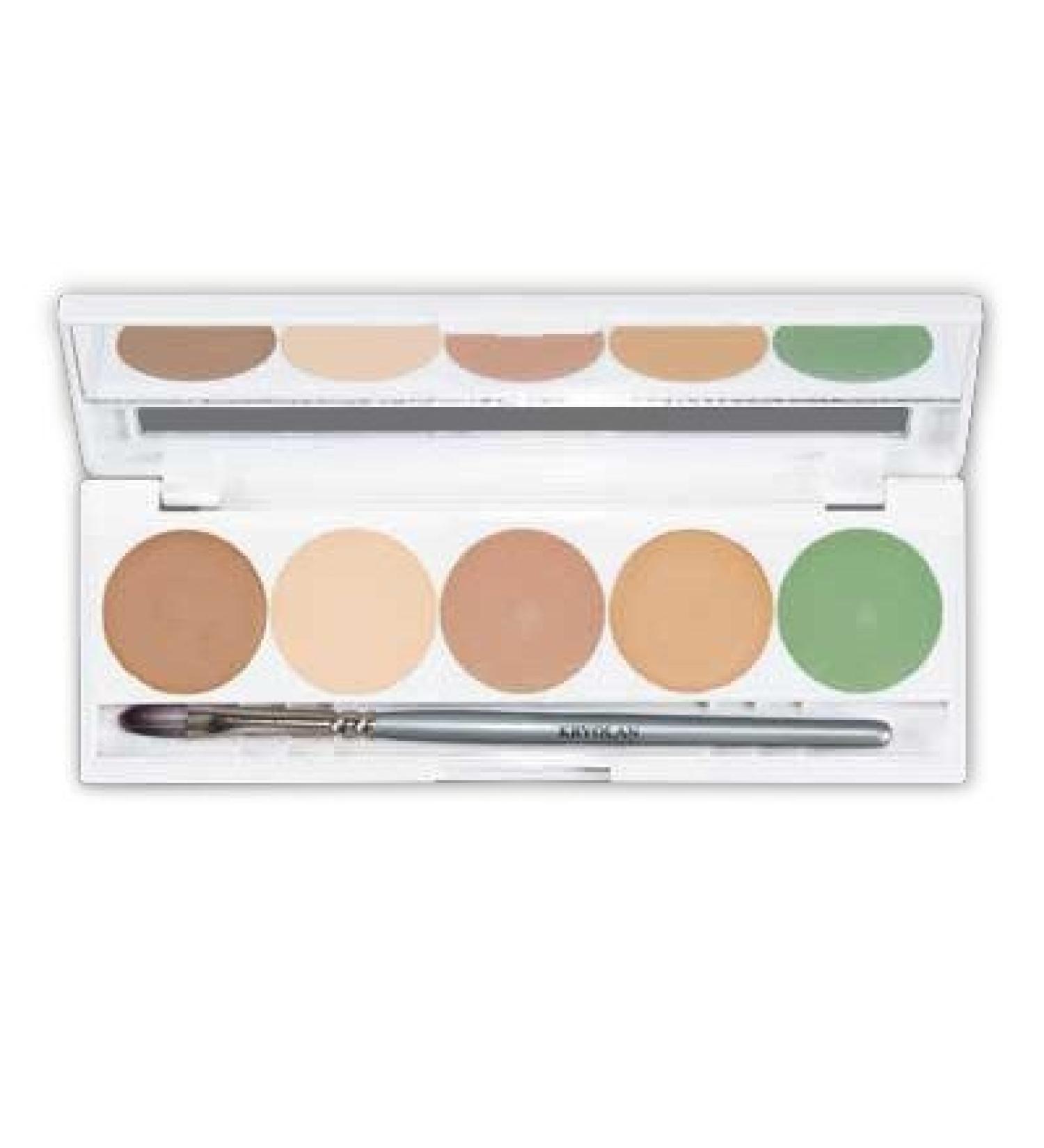 Dermacolor Camouflage Quintet Palette color sorting: DQ 2