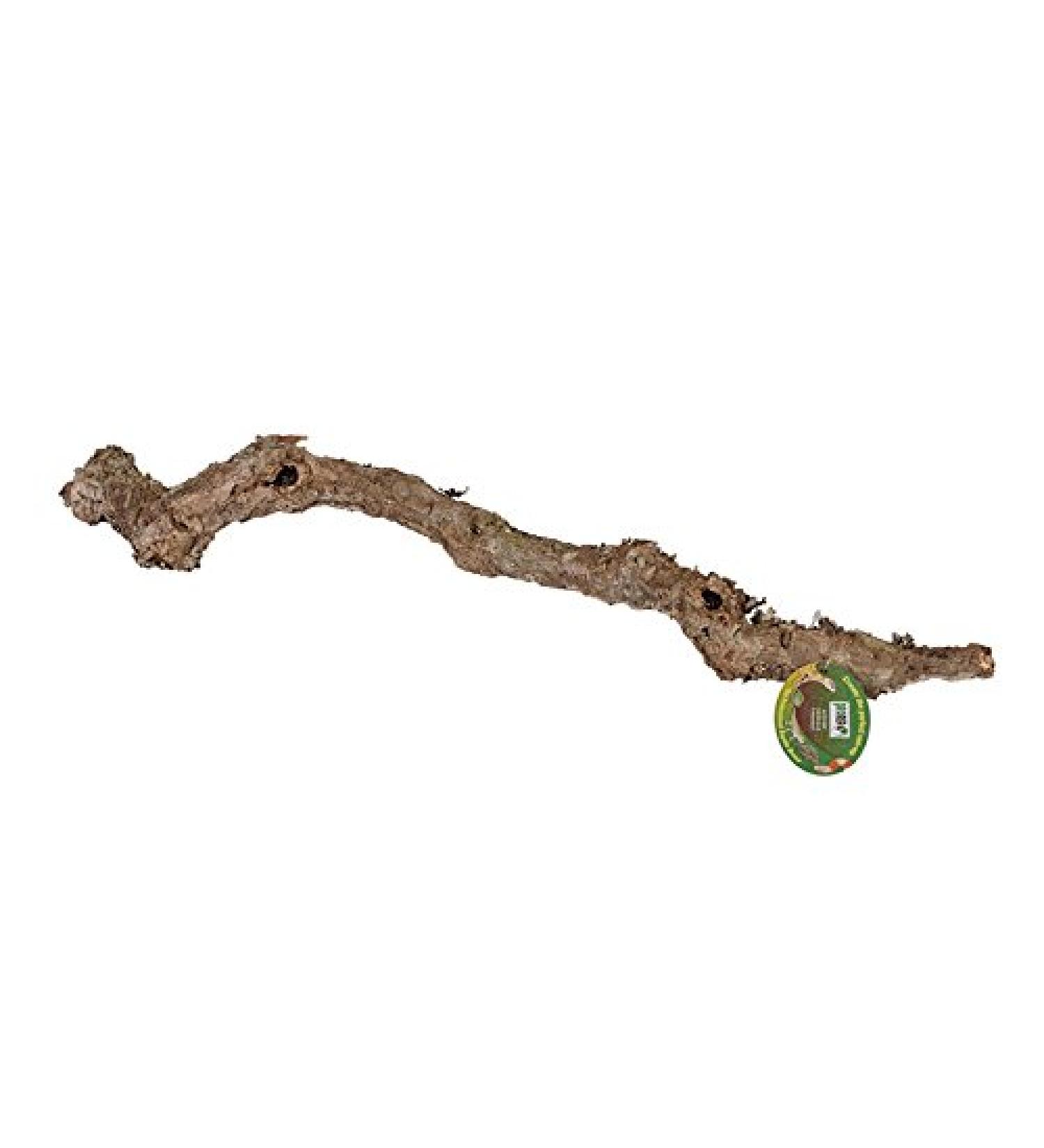 ProRep Cork Oak Branch 40-60 cm