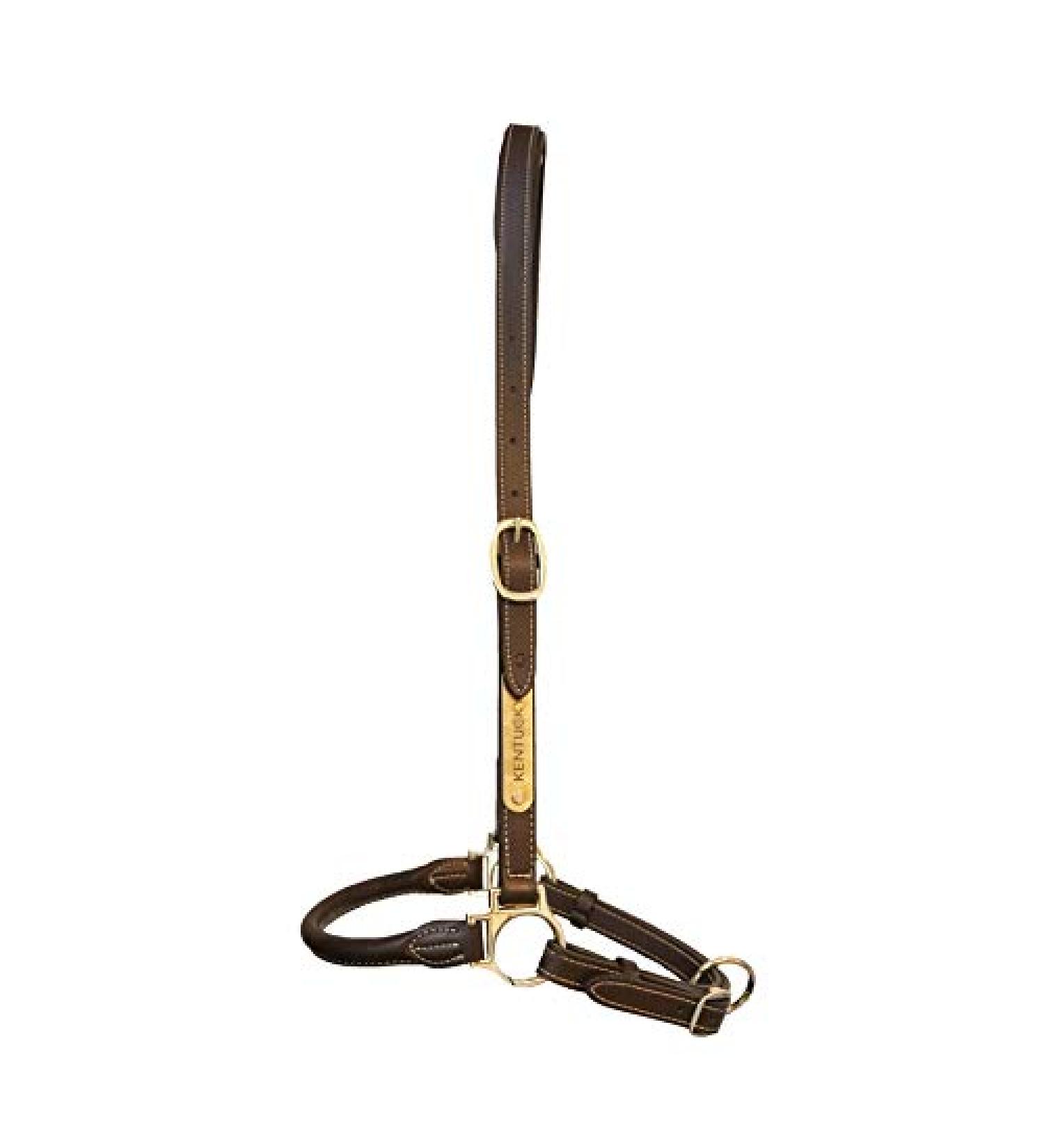 Kentucky Grooming Halter - Full WB Brown | Premium International Shipping - Buy Online on GoSupps.com