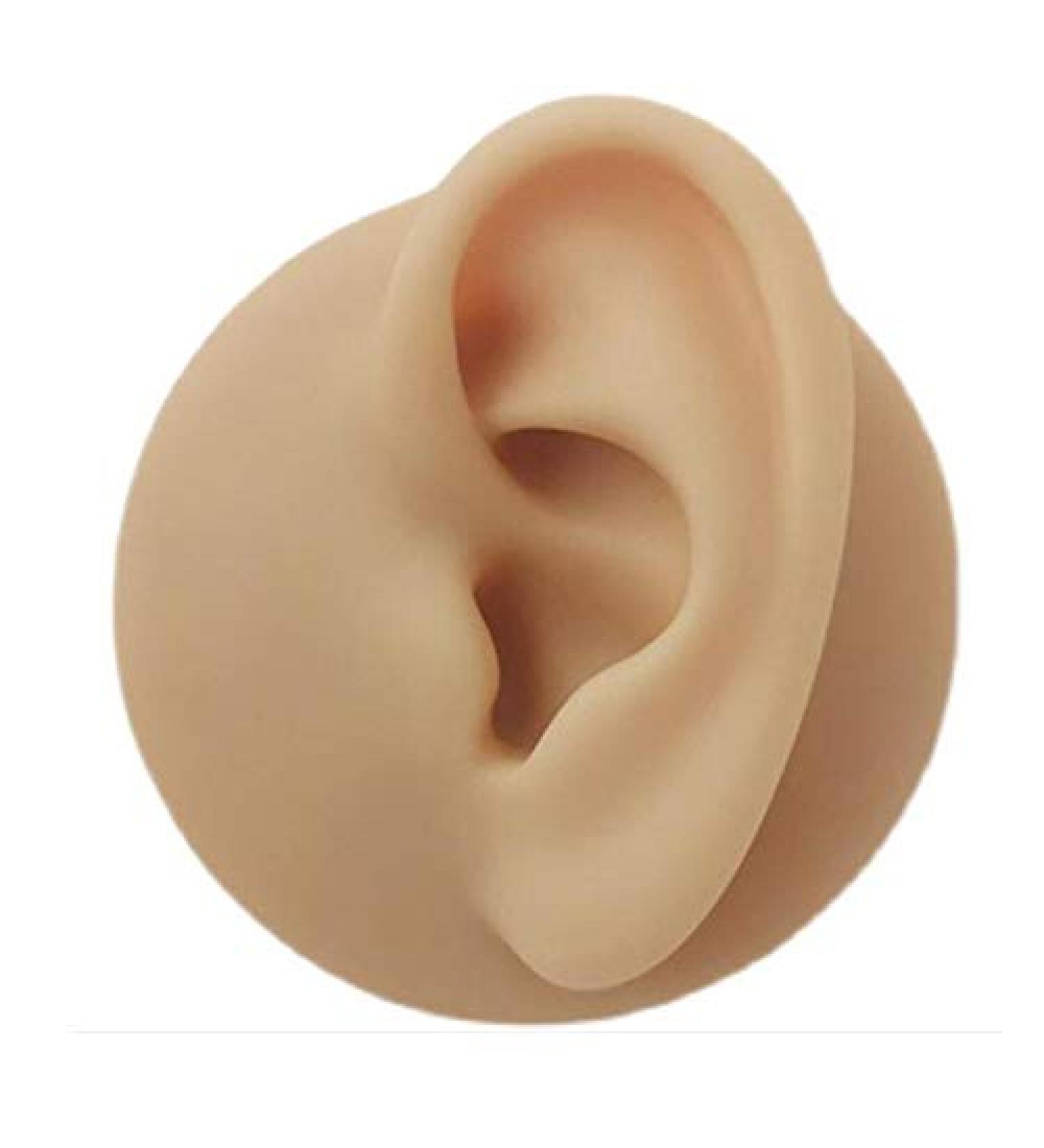 Silicone Ear Model - Simulation Human Ear Model - for Human Body Piercing Acupuncture and Moxibustion Ear Teaching Earrings Earrings Show Left - Buy Online on GoSupps.com