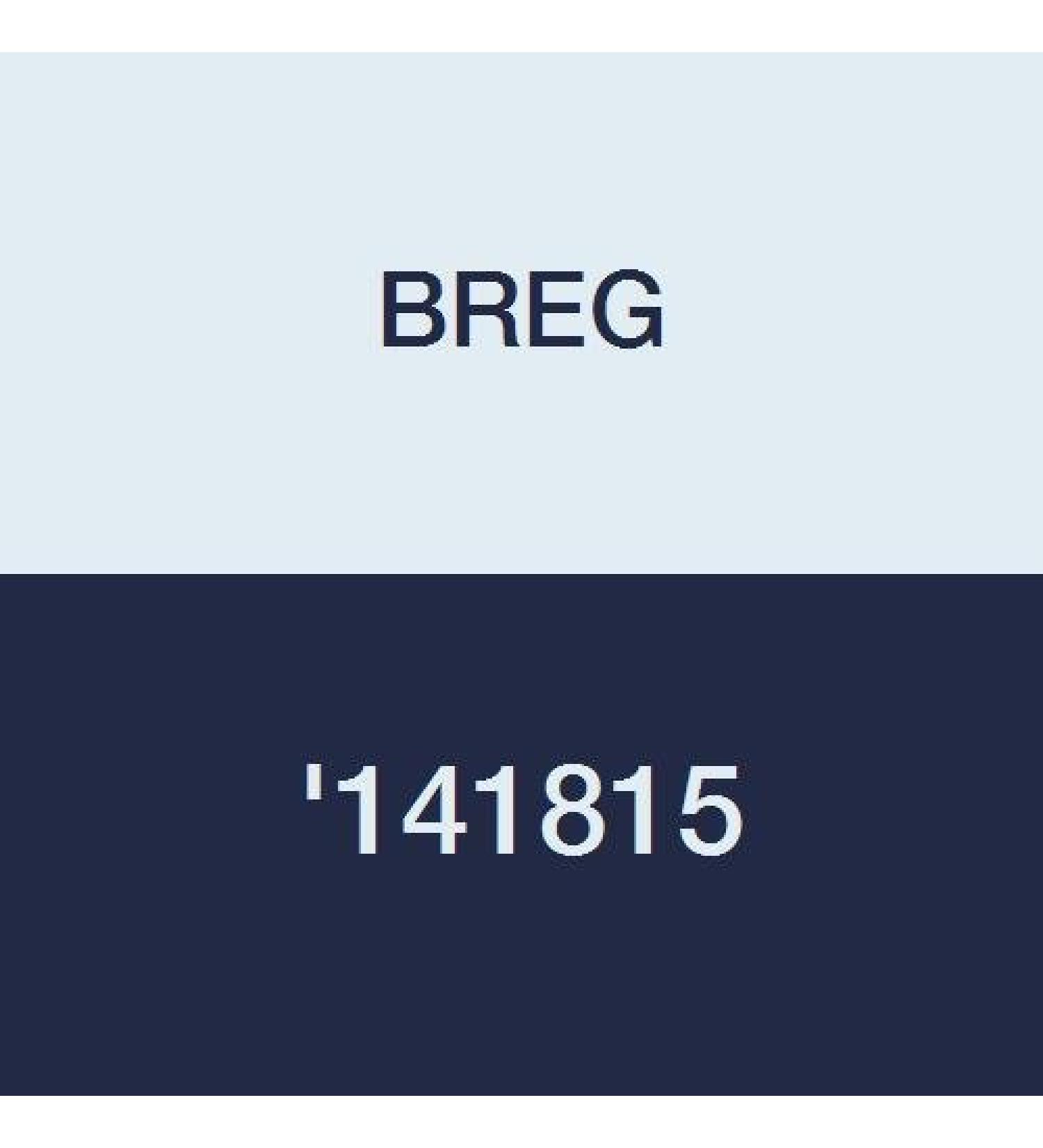 BREG '141815 Carboplast Rigid Insert L