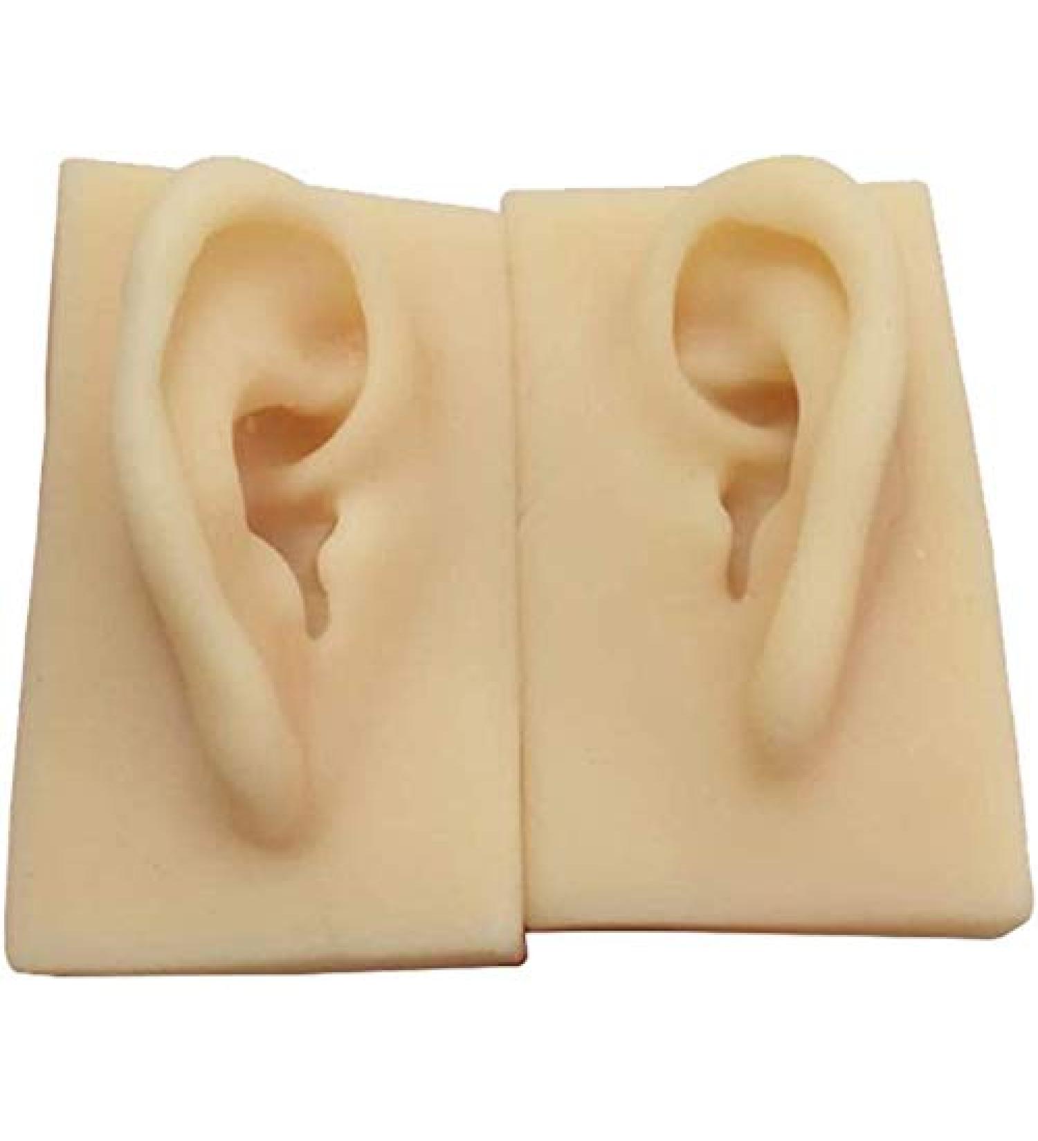 Silicone Ear Model - 1 Pair Silicone Ear Acupuncture Practice Model - Flexible Earmold Artificial Simulation Human Ear for Acupuncture Studs Earring Earphone - Buy Online on GoSupps.com