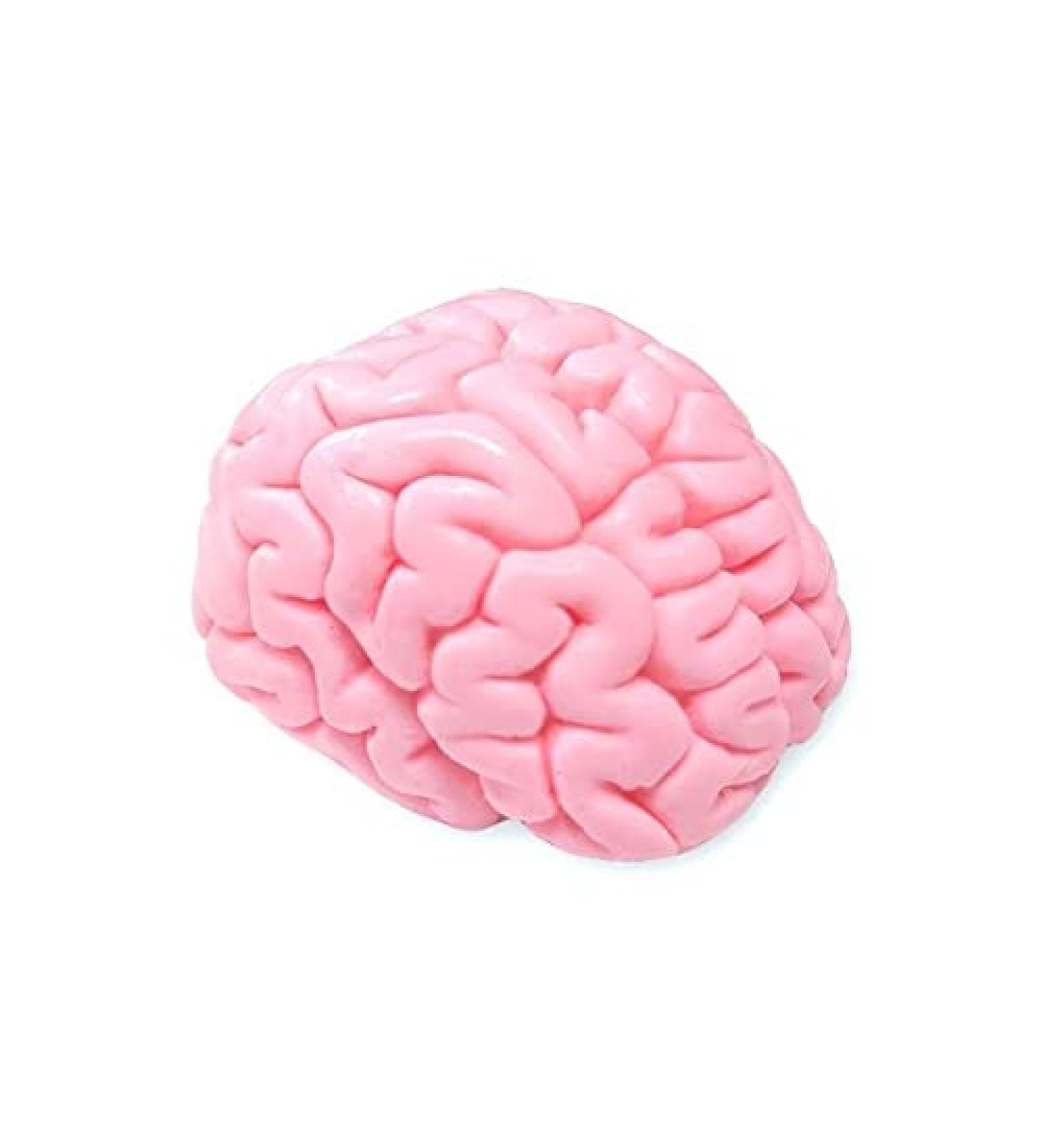 Buy GIANTmicrobes Brainwashed Soap | Fun & Unique Gifts for All Ages - International Shipping Available - Buy Online on GoSupps.com