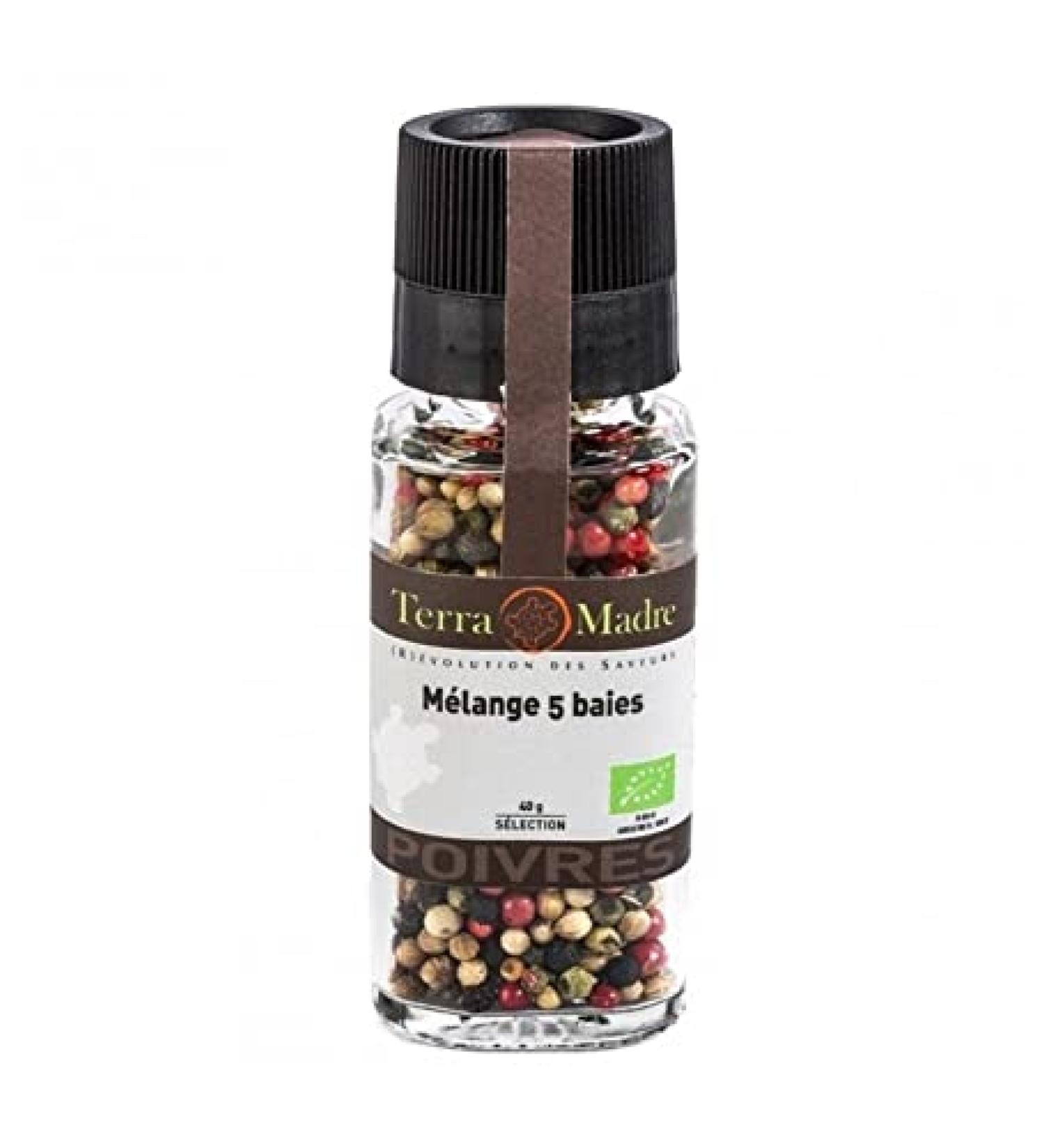 TERRA MADRE Mix 5 berries organic 40g - India
