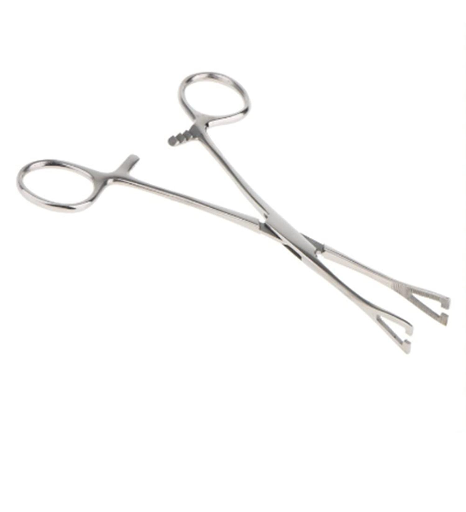 ciyeu Triangle Opening Plier Clamp Piercing Forcep Tool Stainless Steel Body Piercing Plier Body for Ear Lip Nose Tongue - Buy Online on GoSupps.com