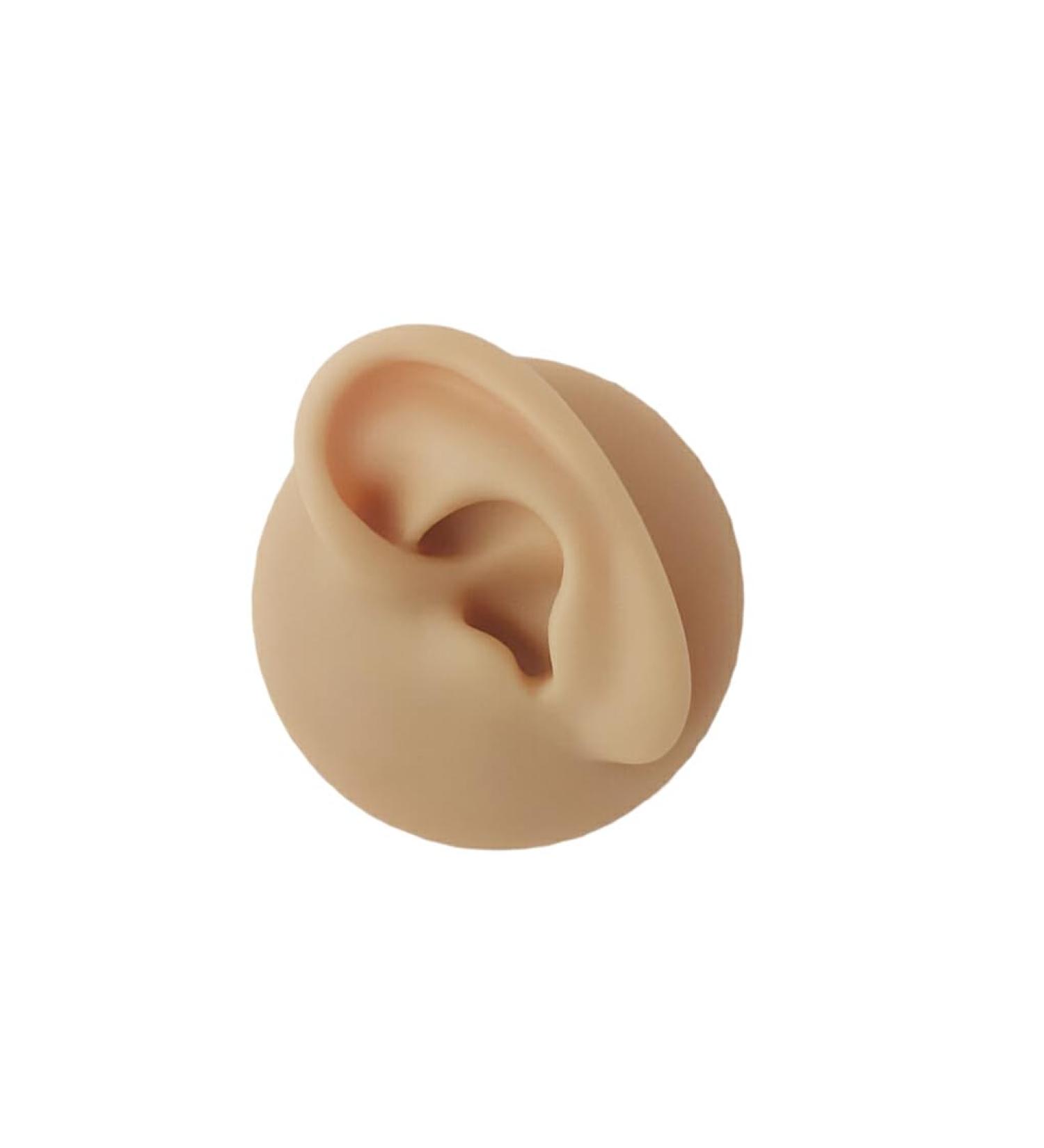 WEHOMY Silicone Left Ear Model for Teaching Instruction - Realistic 3D Display Tool Skin Color - Buy Online on GoSupps.com