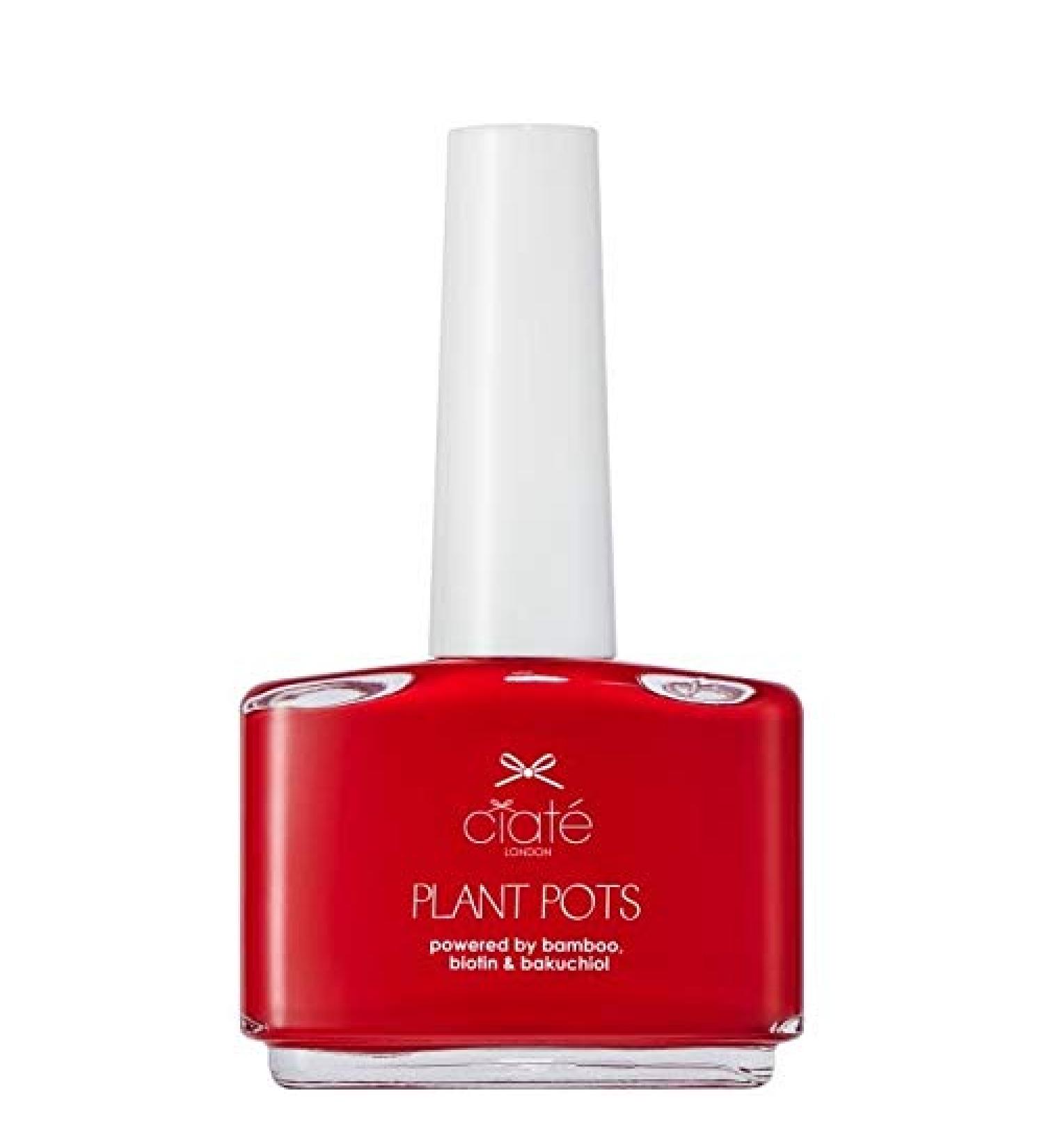 Plant Pot Vegan Friendly Nail Polish - Snatch 14ml