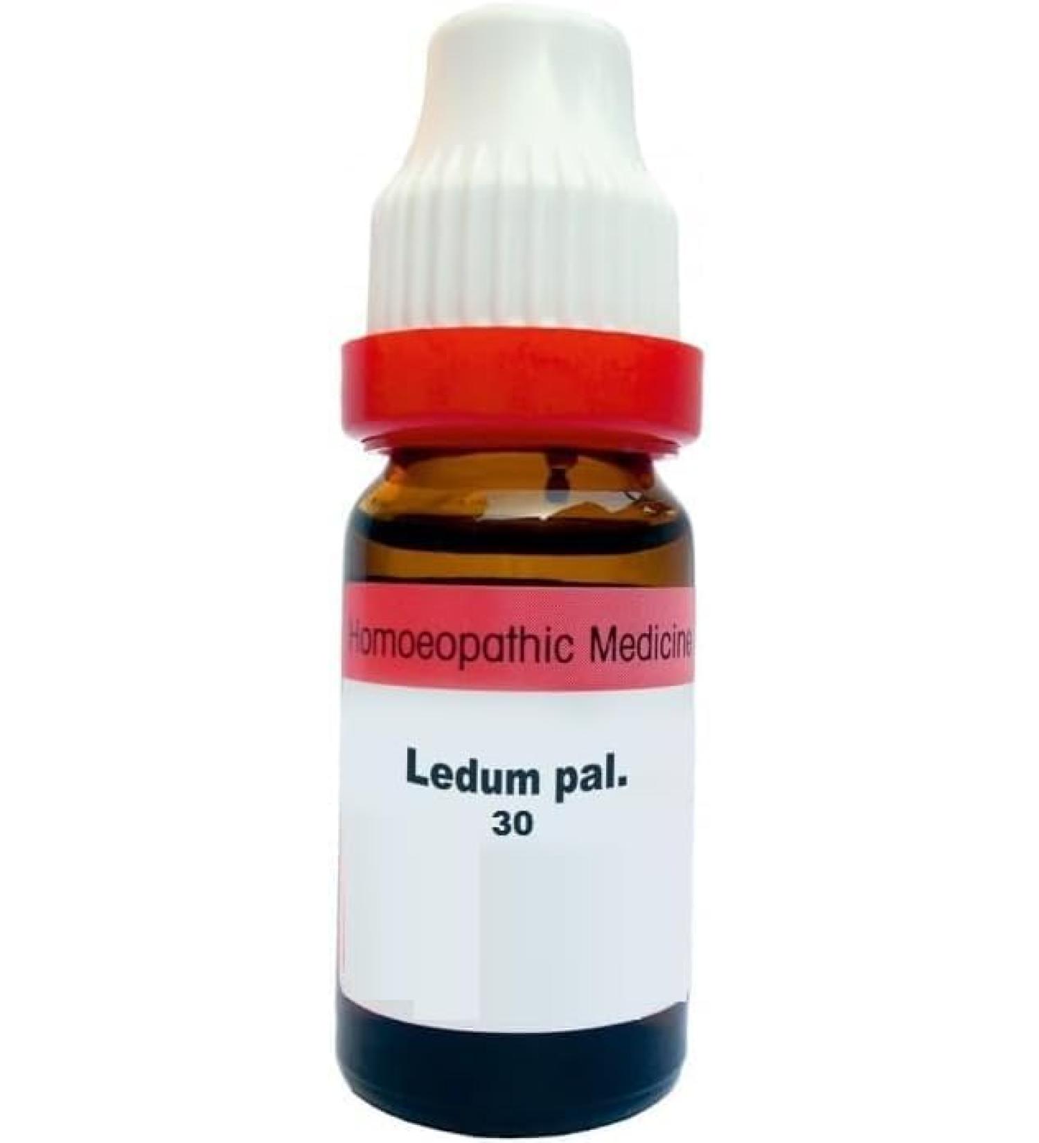 LEDUM PAL 30 11 ml Liquid or Herbal Product