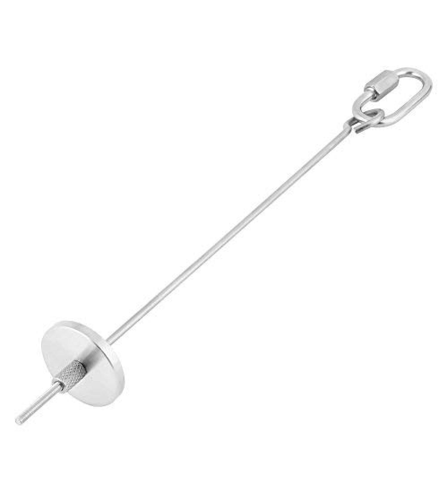 Parrot Bird Food Stick Holder Fruit Vegetable Holder Stainless Steel Skewer Hanging Food Feed Tool for Parrot Budgies Parakeet Cockatiels Conure Lovebirds Finch Canary Pigeon Hamster Rat Healthy (L) - Buy Online on GoSupps.com