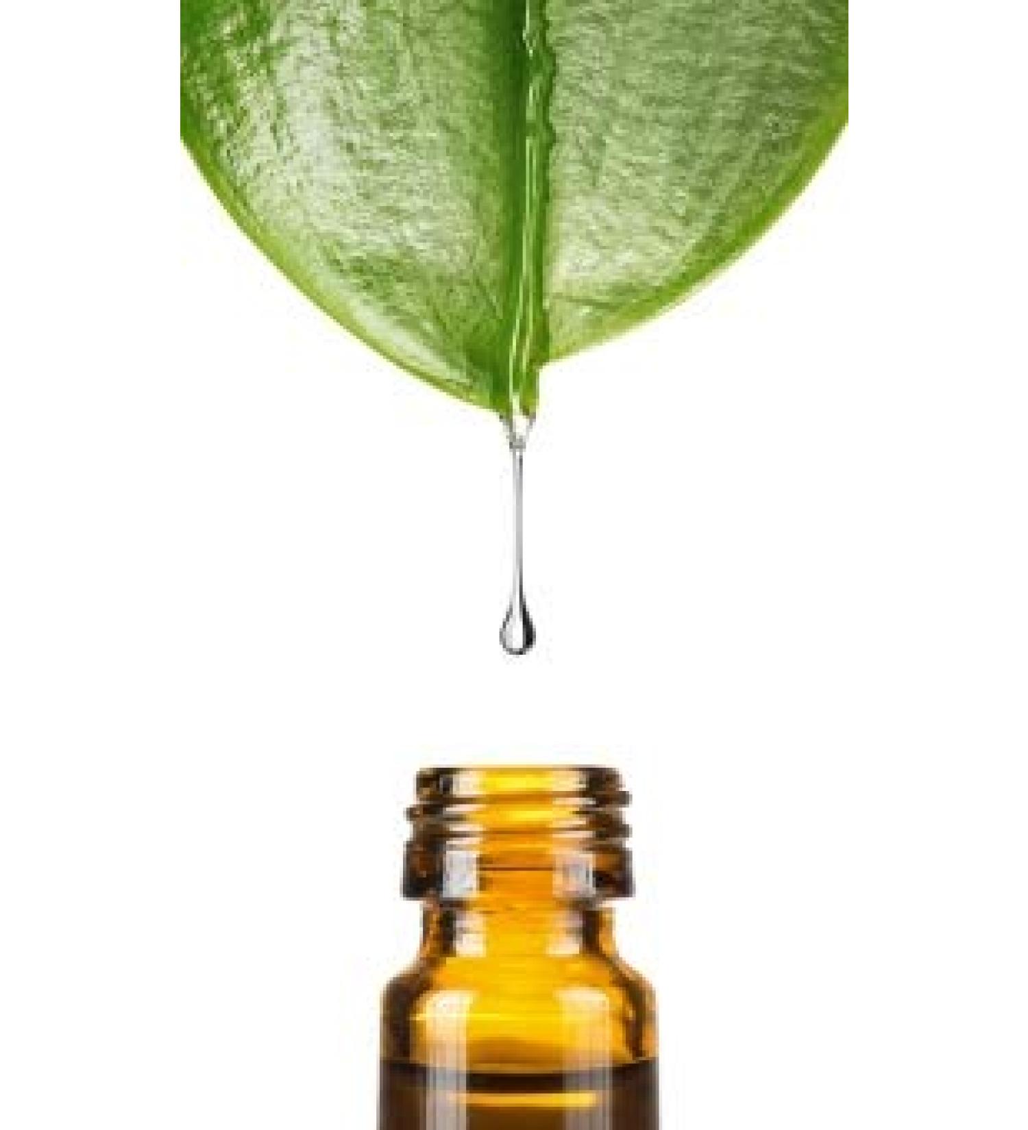 Fluid Lecithin BE 100ml by Dragonspice Naturwaren 100ml 100 ml (1 pack)