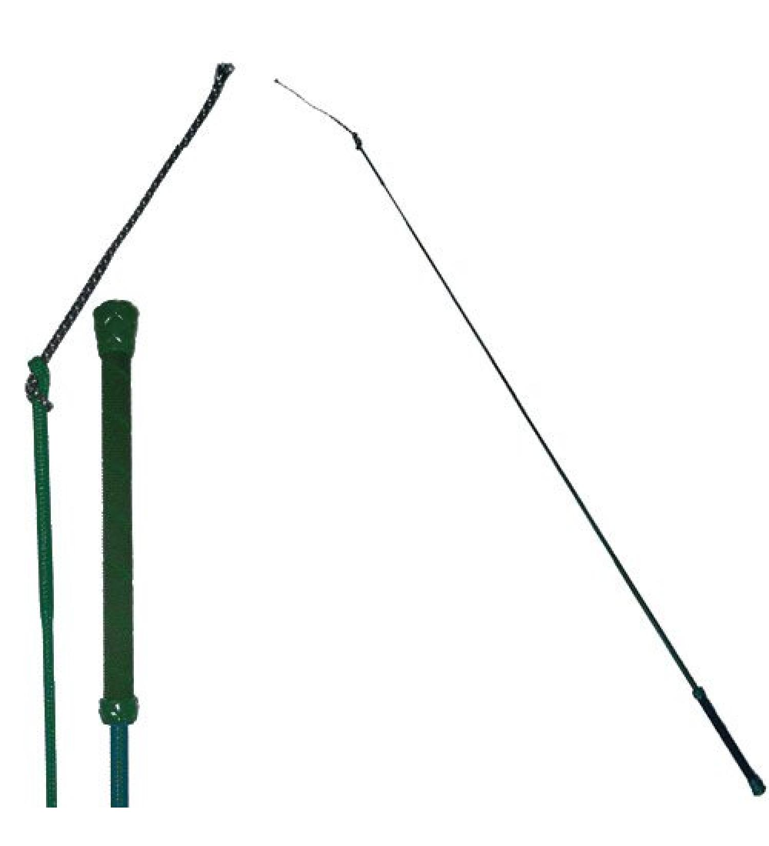 Intrepid International Colorful Training Whip Hunter Green