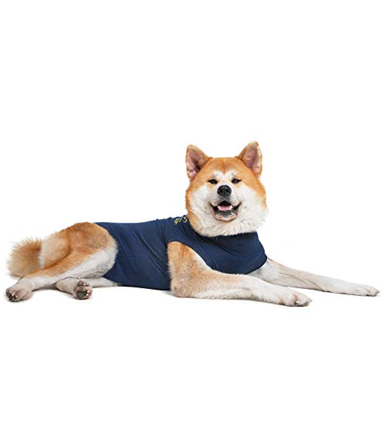 MPS Medical Pet Shirt for XX-Large Dogs - Blue 2XL - Ideal Recovery Apparel - Pack of 1 - International Shipping Available - Buy Online on GoSupps.com