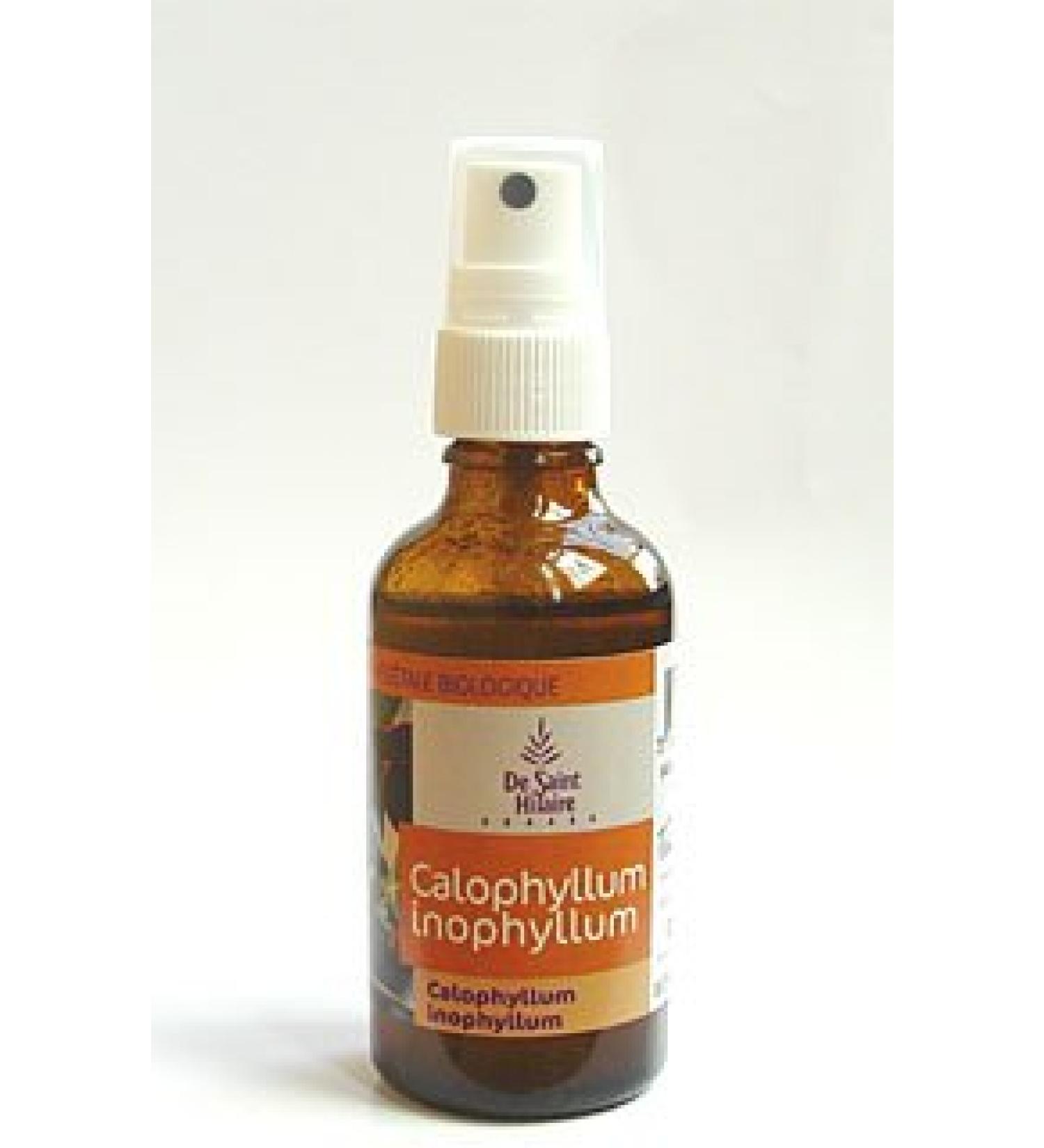 De Saint Hilaire - Huile de massage spray Calophylle Inophylle bio - 50 ml