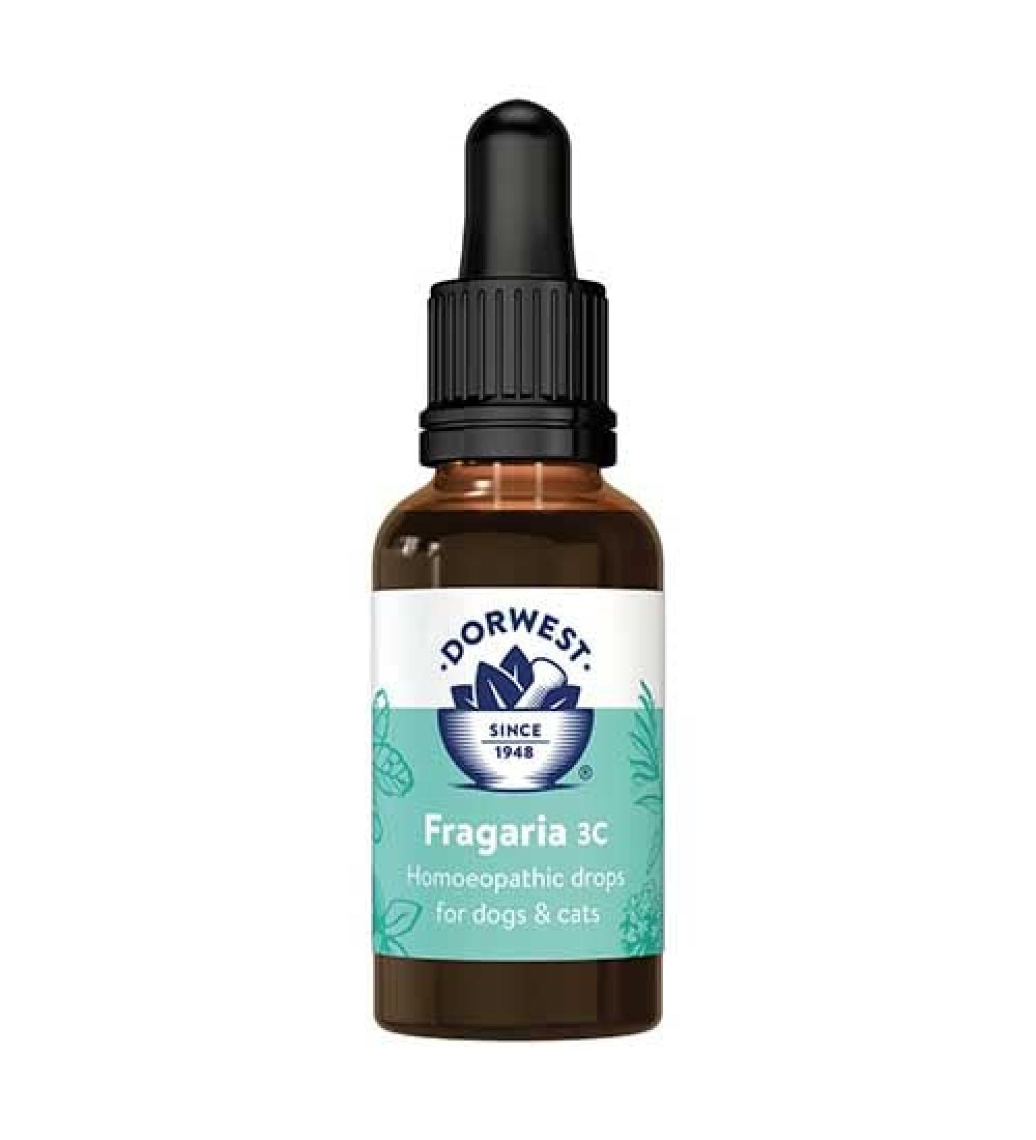 Dorwest Herbs Fragaria 3C Homoeopathic Liquid Remedy for Dogs & Cats - 15ml - Buy Online on GoSupps.com