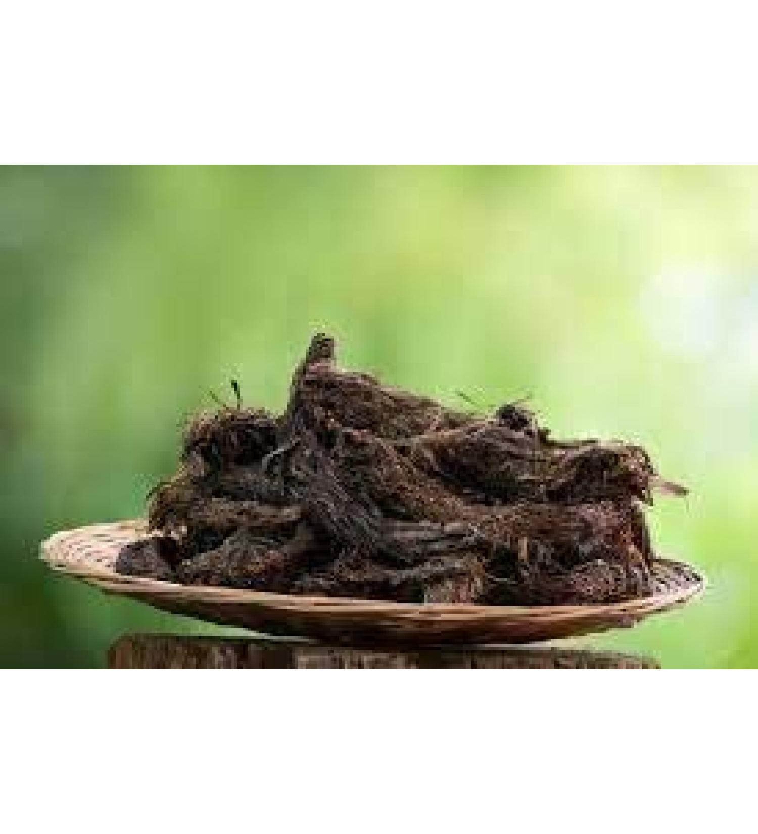 sm Ayurvedic Jat.AMA.shi | Jata.Mans.i | Tapaswani - 250 Gm - Buy Online on GoSupps.com