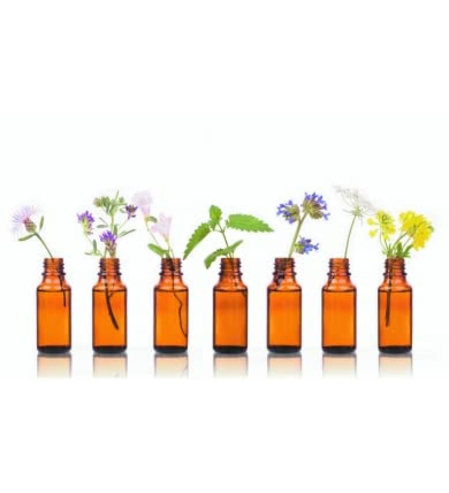 Chamomile oil blue 1ml from Dragonspice Naturwaren 1ml