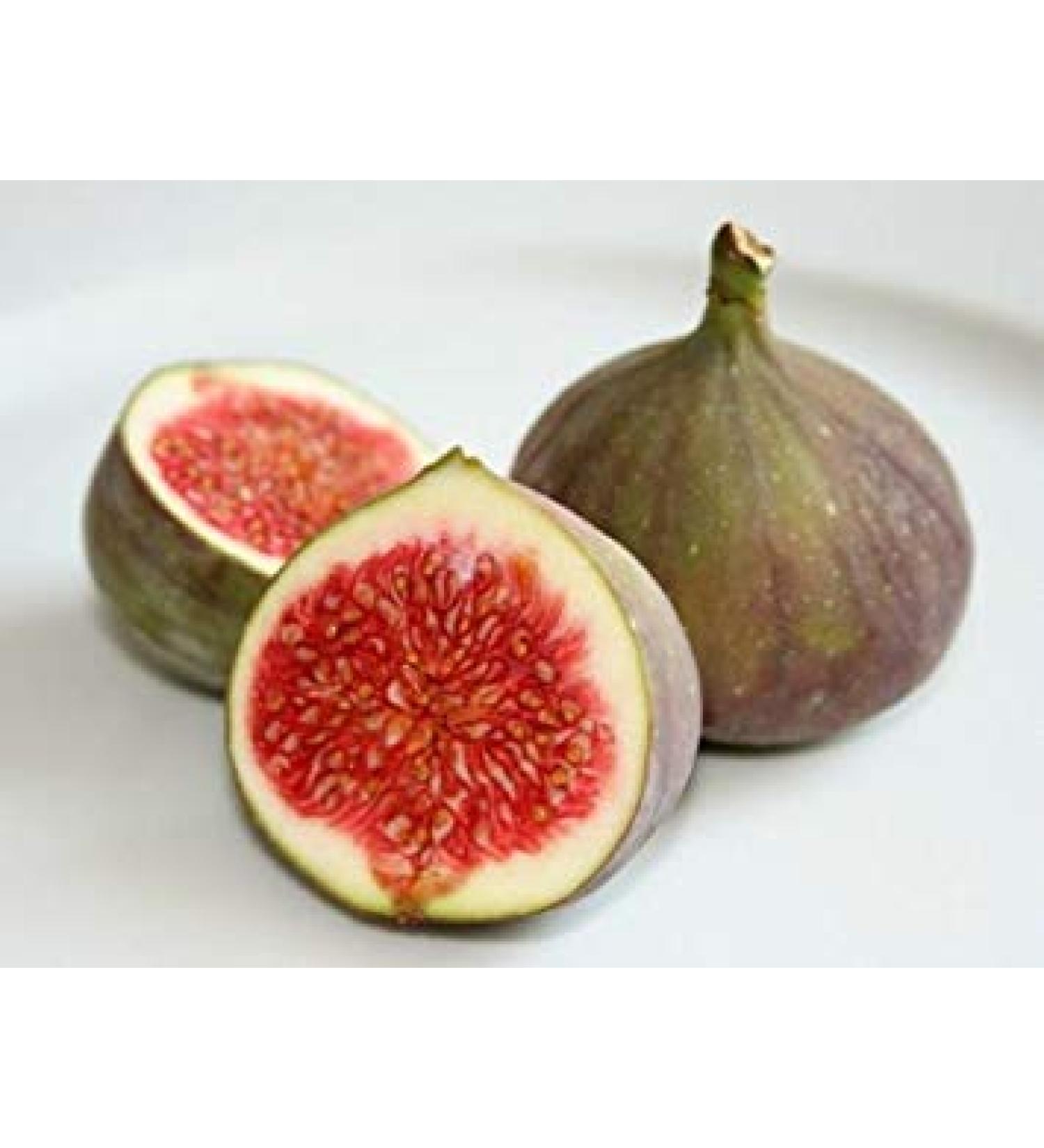 Vistaric Organic Heritage 50 African Fig Seeds Exotic Fruit Seeds Rare Common Fig