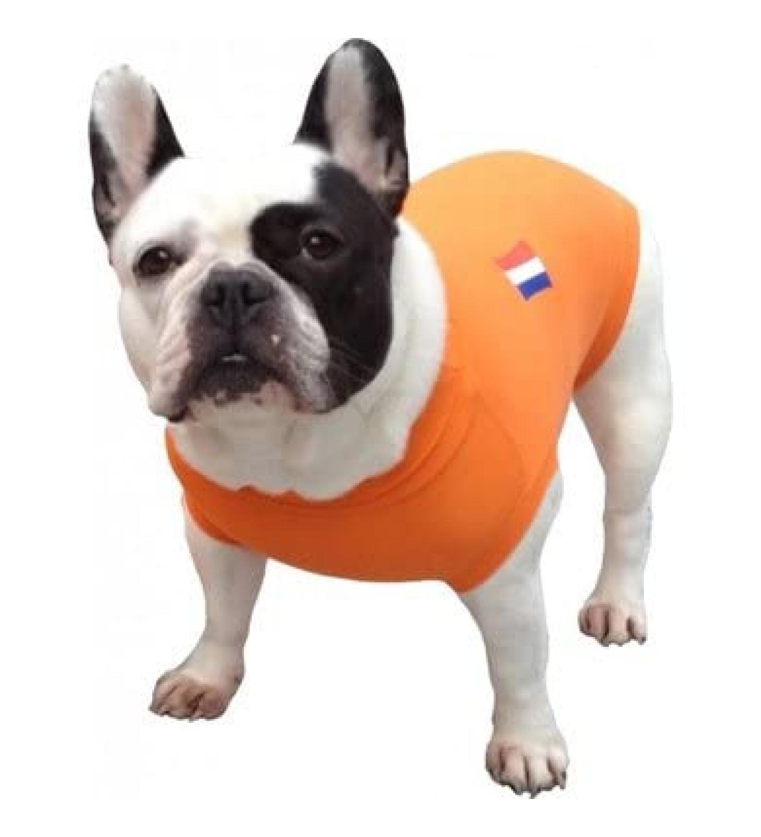 MPS Medical Pet Shirt for Dogs - Orange Color Size S + S+ | International Shipping Available - Buy Online on GoSupps.com