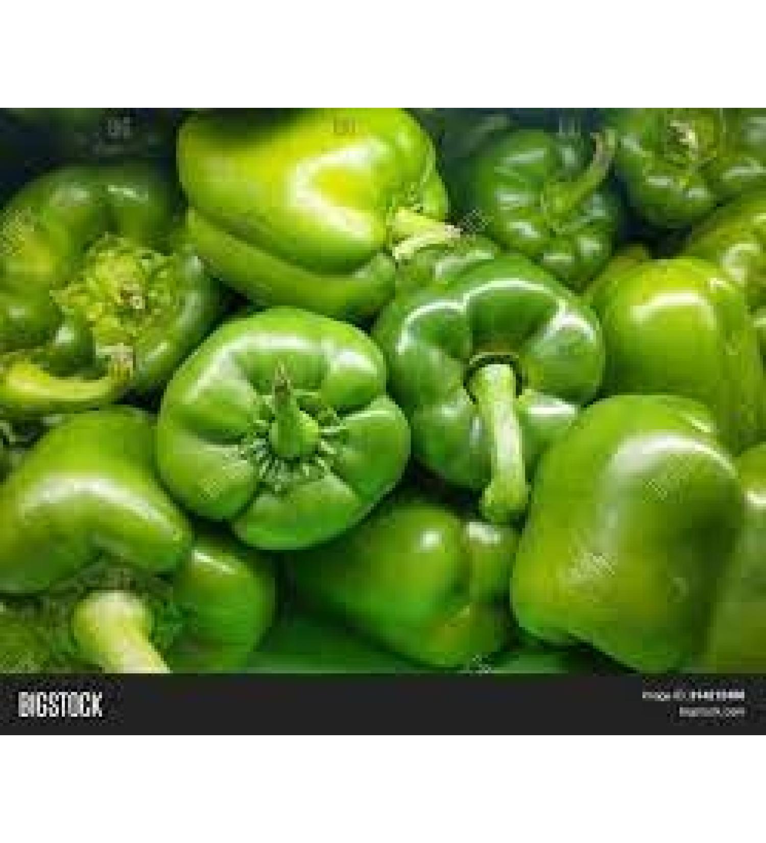 Seelans Paprica Green | 1KG | Green Capsicum | 100% Fresh Vegetable | Indian Origin Next Day Shipping - Buy Online on GoSupps.com