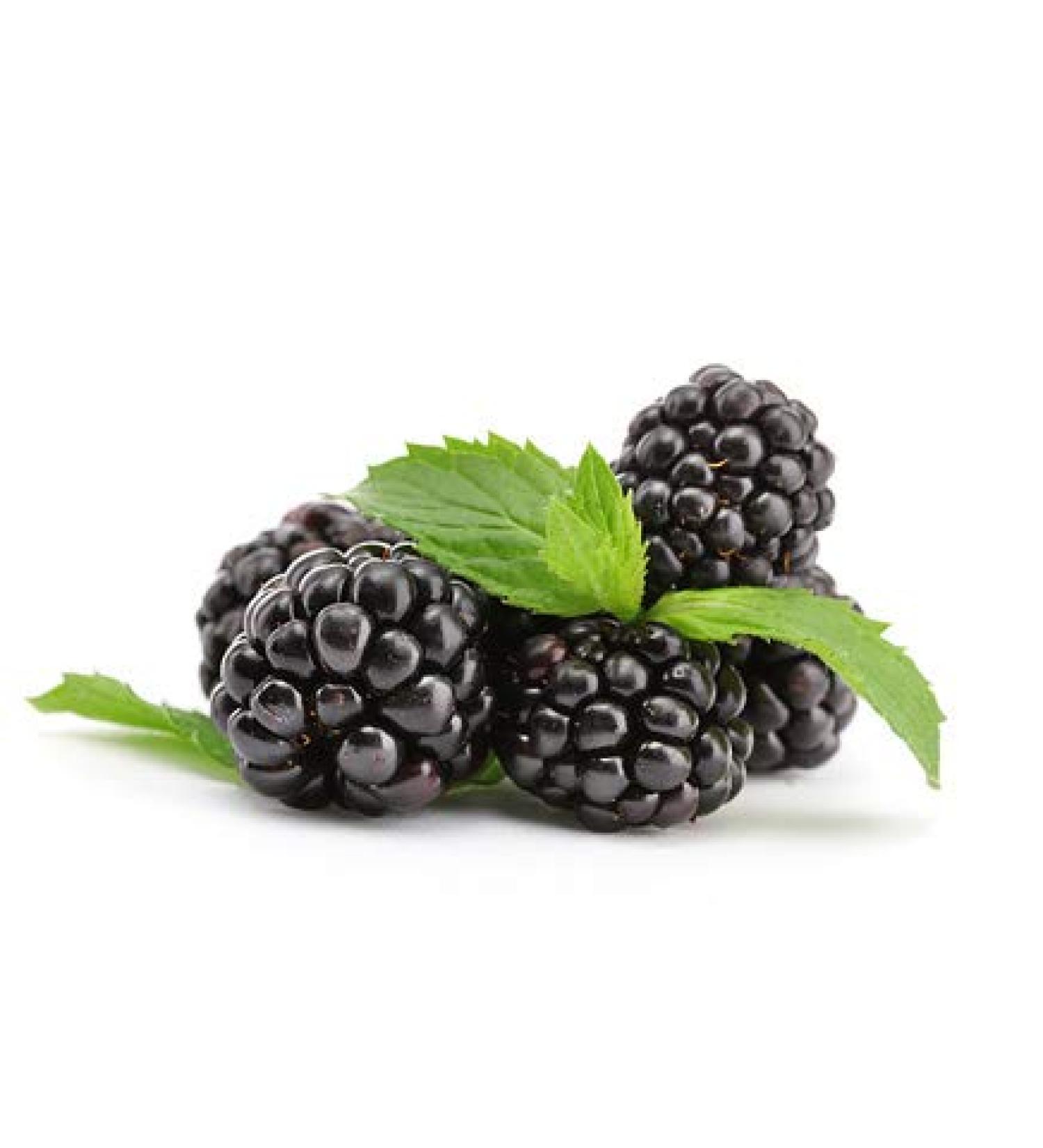 ISOSTEST -drops aroma i aromas for athletes I aromatization of drinks instant and dairy products I blackberry i 10 ml - made in germany blackberry - fruity aromatic 10 ml