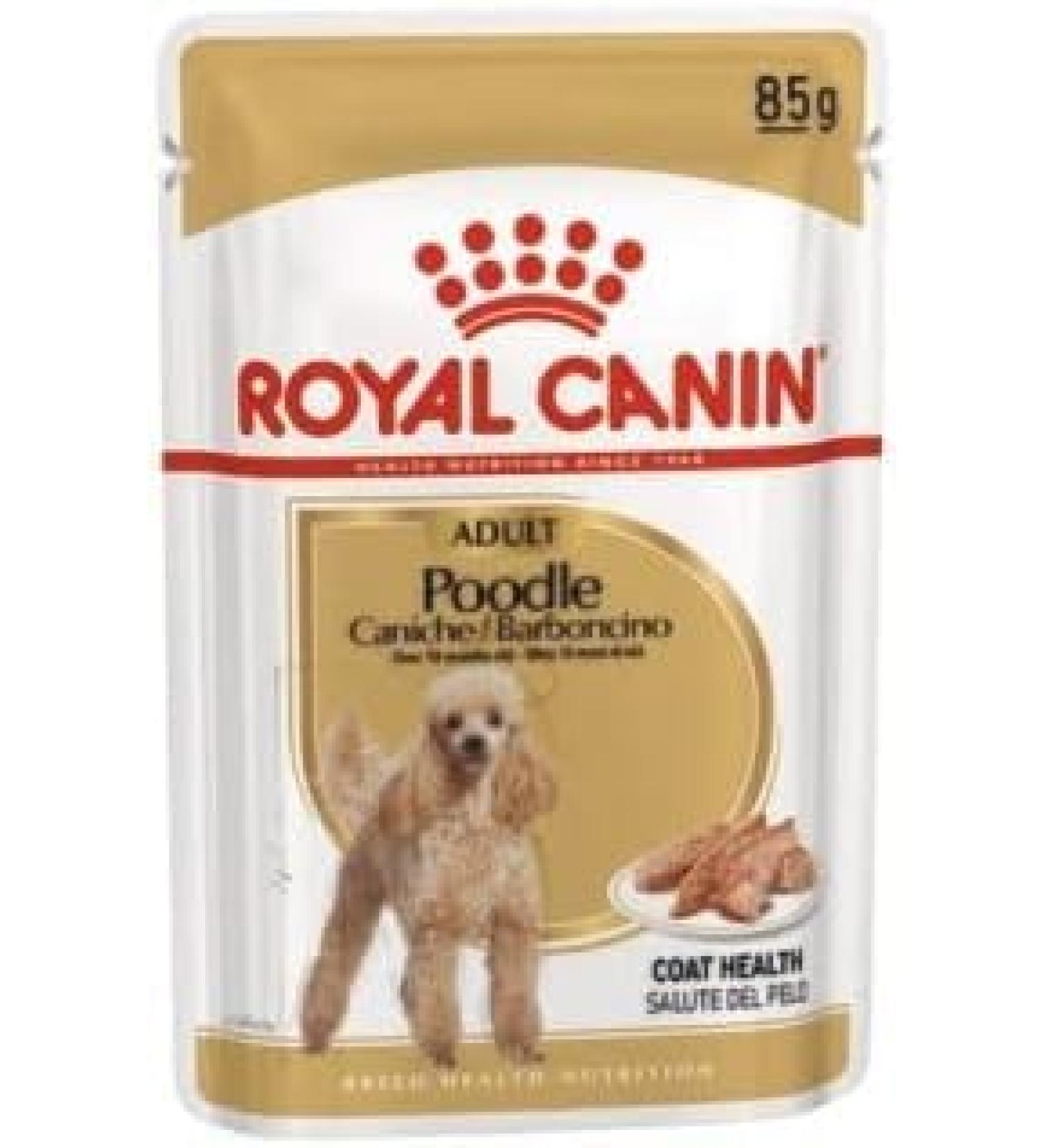 Royal Canin Poodle Wet Dog Food Pouches 12 x 85g - Buy Online on GoSupps.com