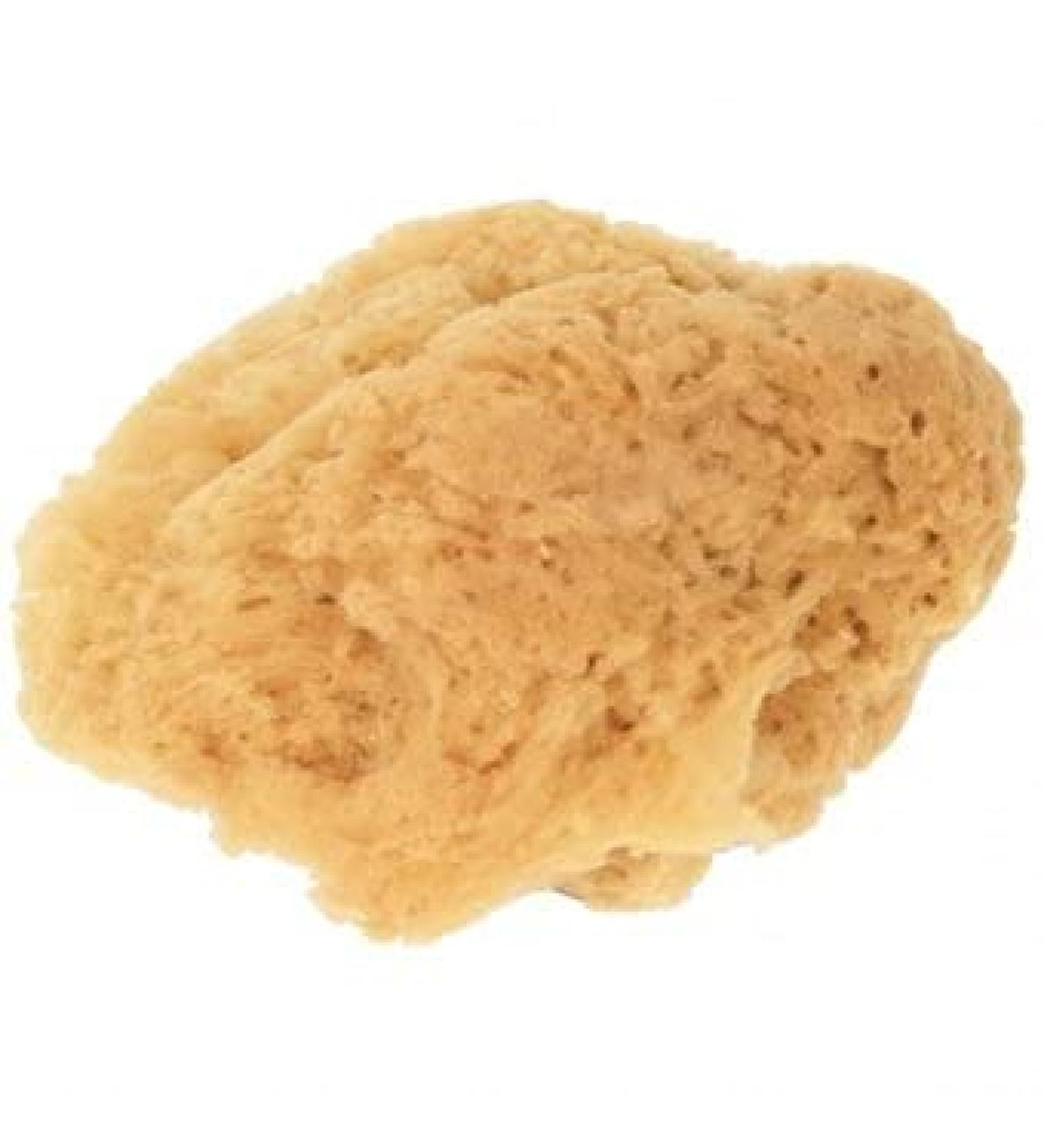 Croll & Denecke Natural Sponge G5 - 19cm | Eco-Friendly Soft & Durable | International Shipping Available - Buy Online on GoSupps.com