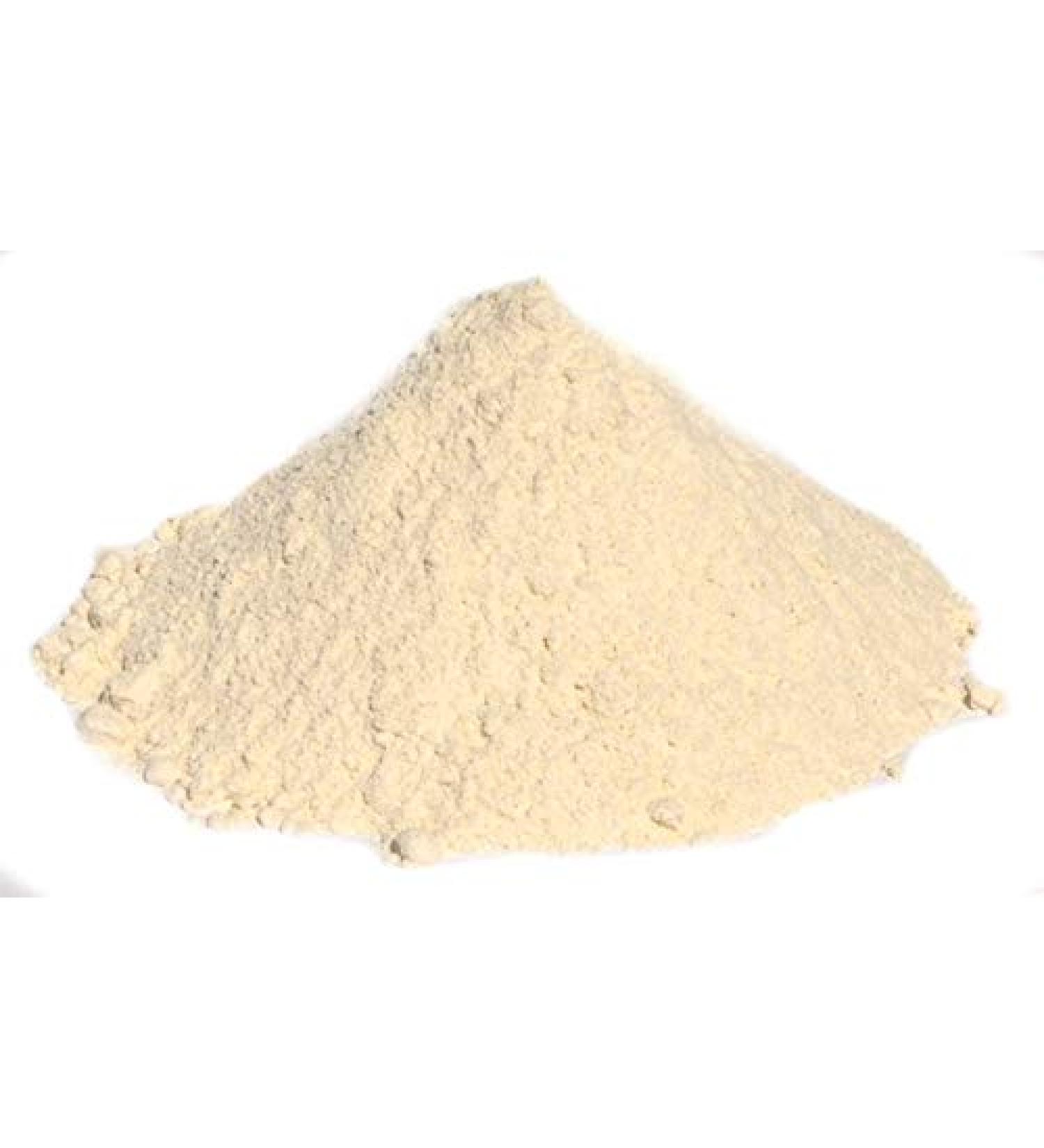 Bongiovanni Natural MadreAttiva active leaven dry in powder 1 kg