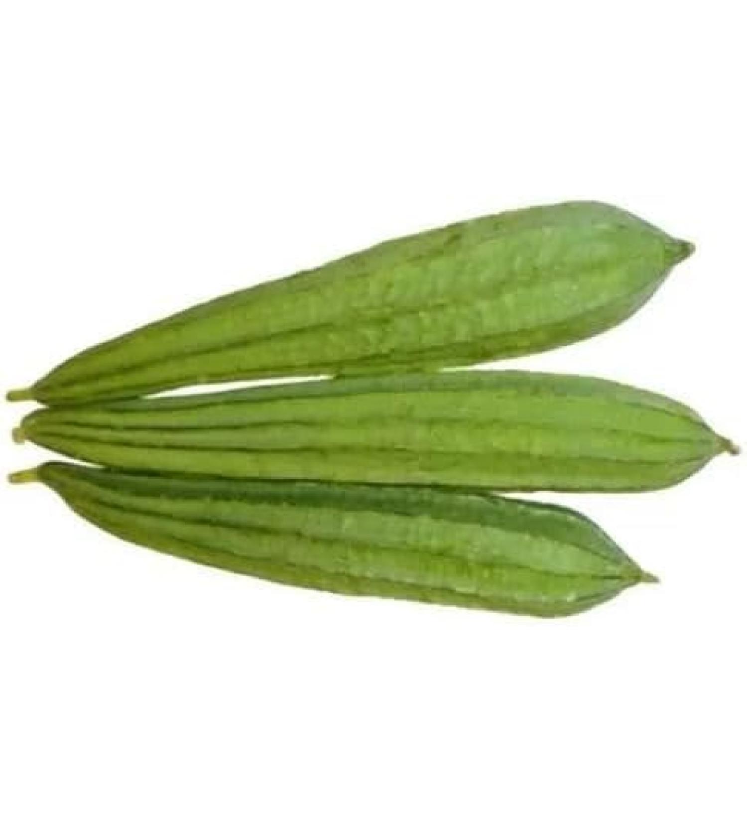 Fresh Thuriya Indian | 2Picese | Ridged Gourd | 100% Fresh Vegetable | Indian Origin Next Day Shipping By Seelans - Buy Online on GoSupps.com