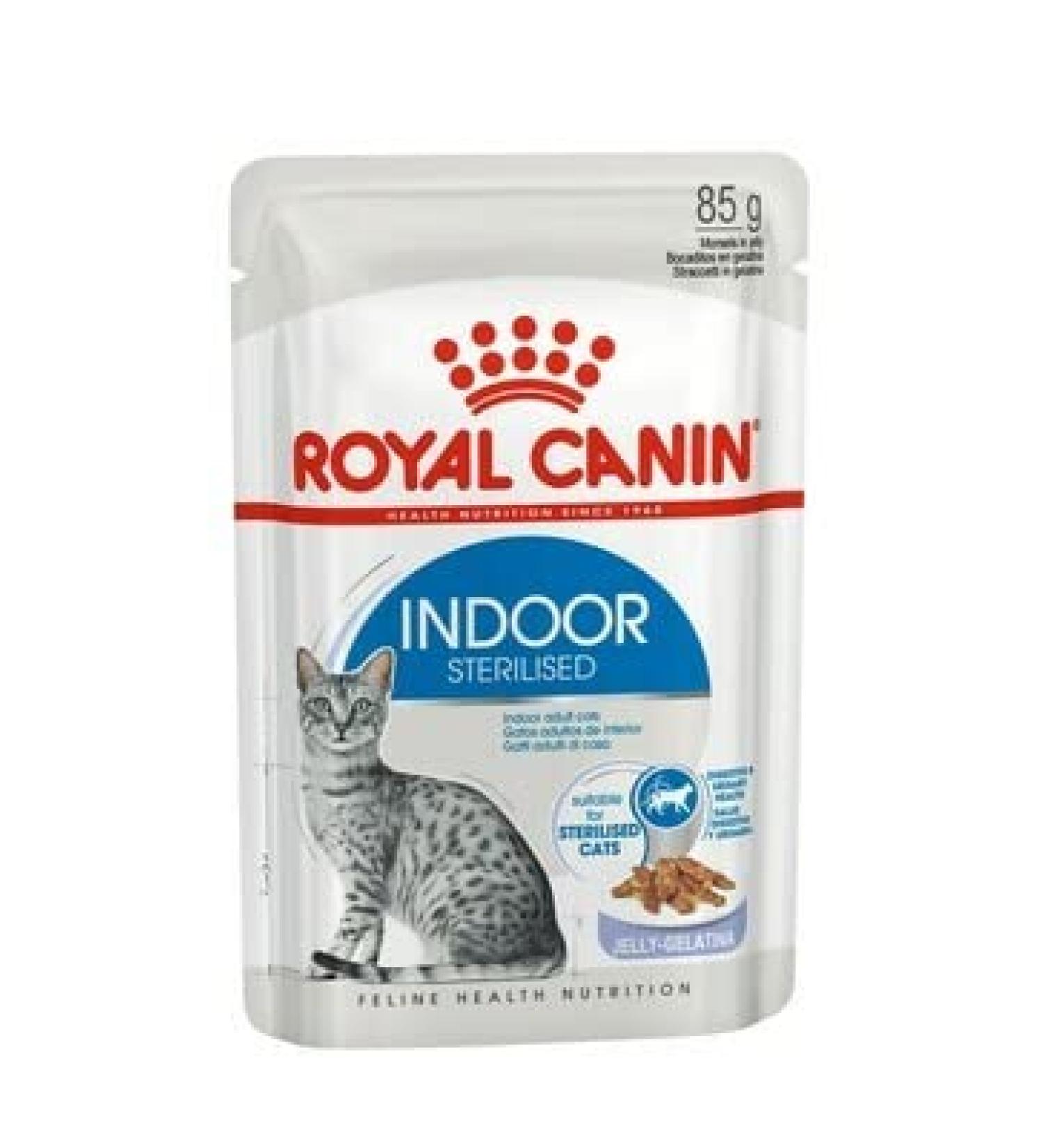 Royal Canin Indoor Sterilised in Jelly Adult Wet Cat Food 85g (Pack of 48) - Buy Online on GoSupps.com