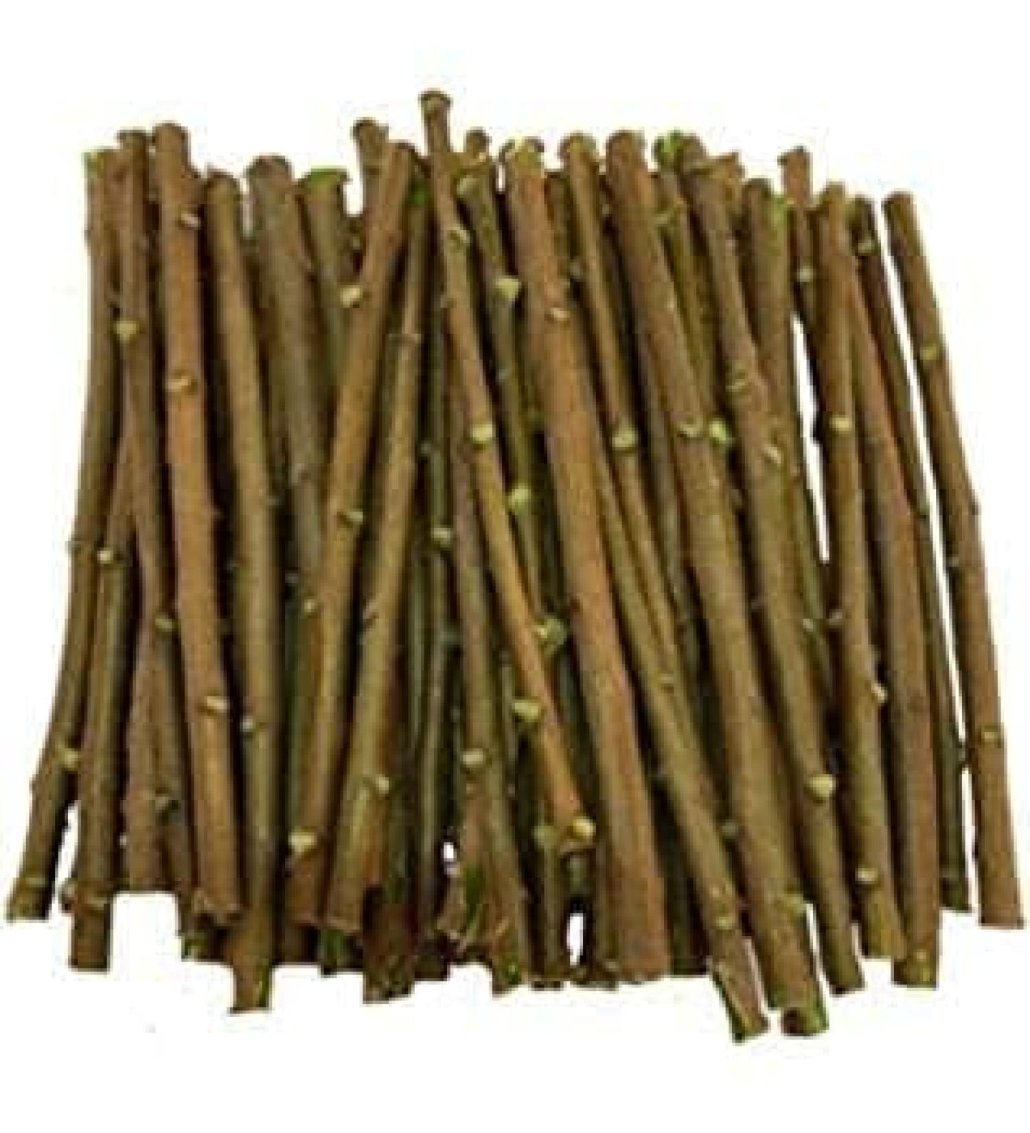 bhavika Creation Natural Neem Datun Chewing Sticks for Oral Care 20 Pieces