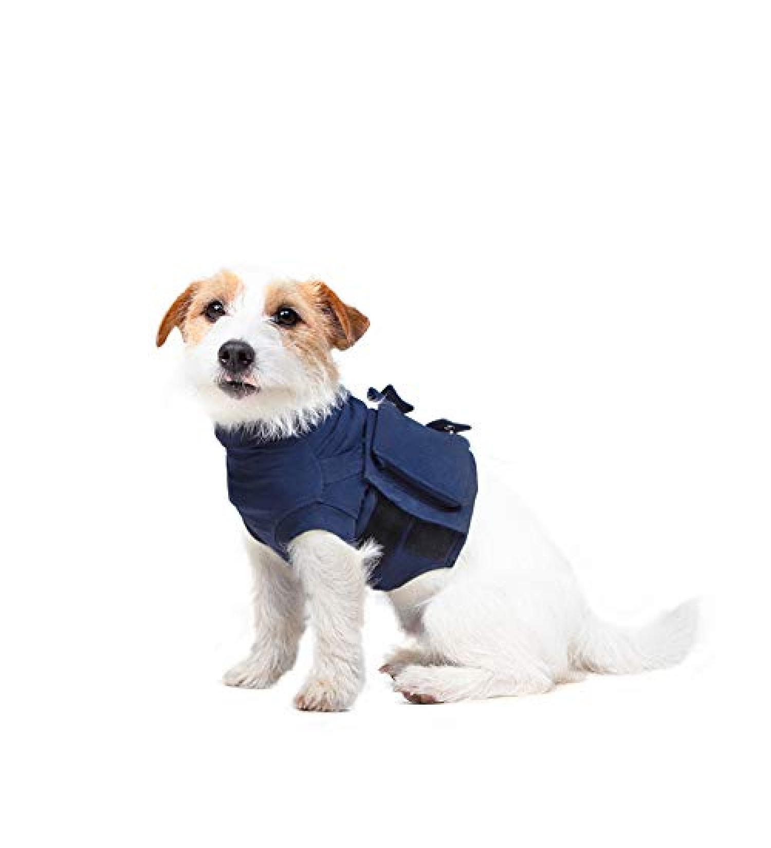 MPS Medical Pet Shirt - Top Quality Upper Body Shirt for Dogs | XXS Size | International Shipping Available - Buy Online on GoSupps.com