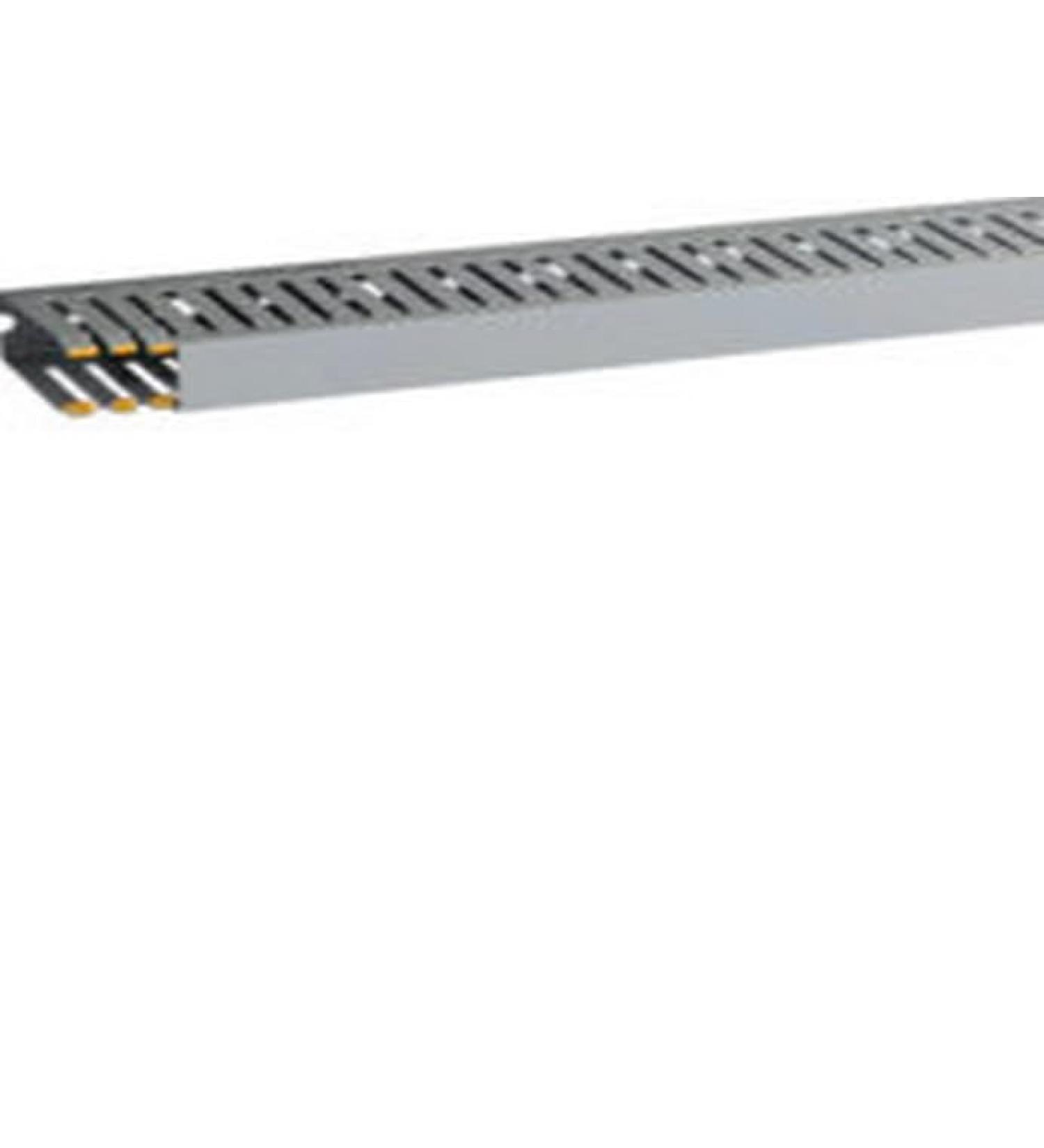 BOCCHIOTTI SPA T1E 25 x 60 g CAN