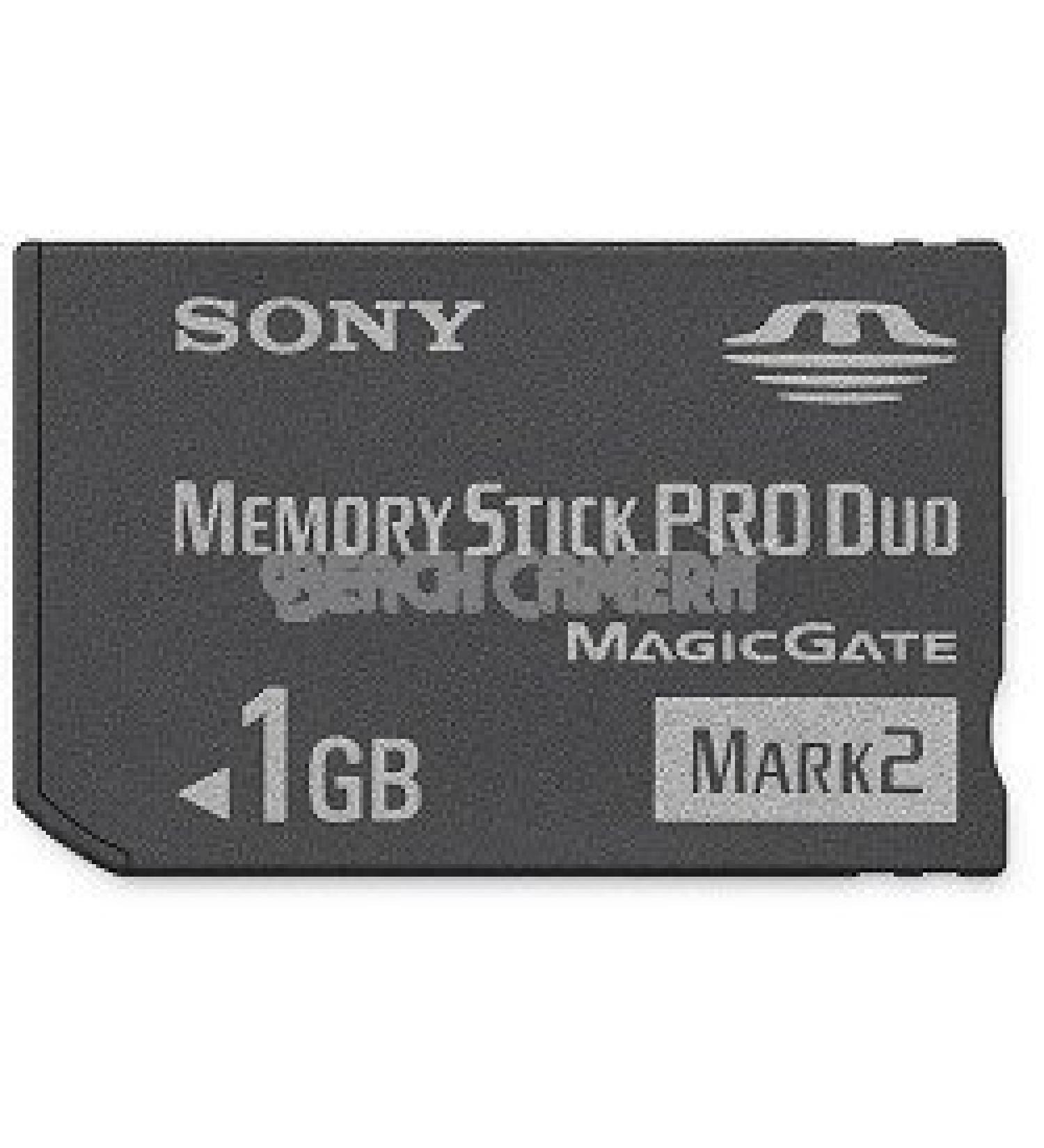 Sony 1 GB Memory Stick PRO Duo Flash Memory Card MSMT1G