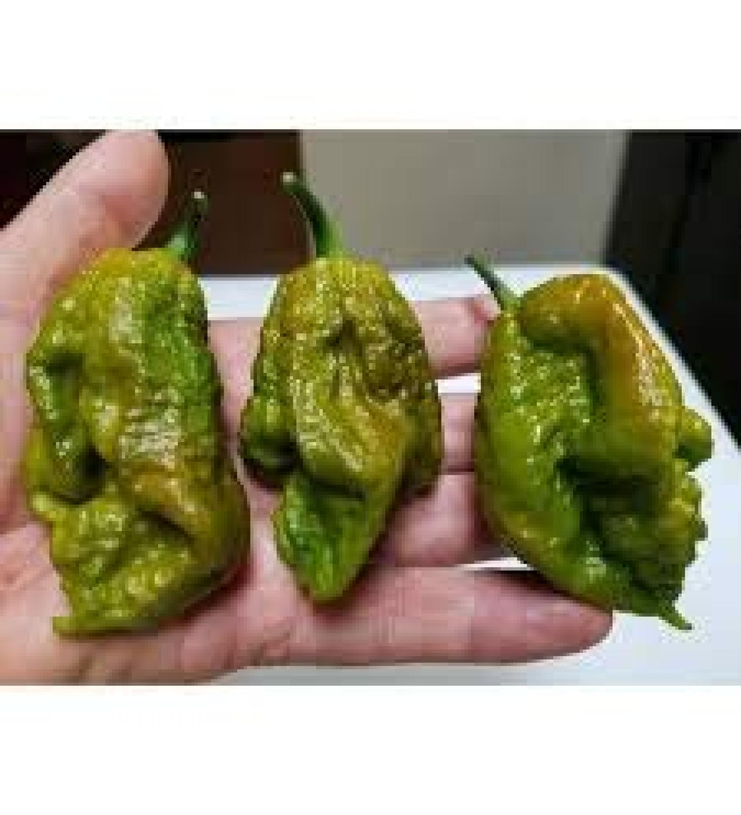 SEMI PEPERONCINO-Big Mama Mustard-