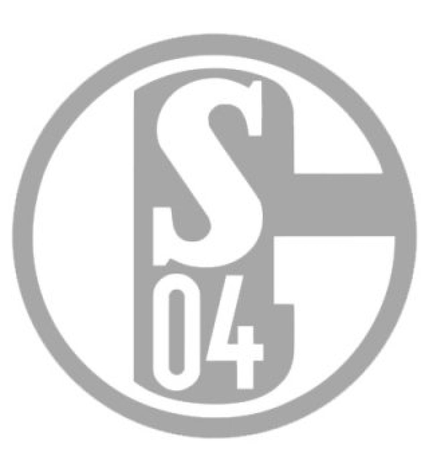 FC Schalke 04 sticker silver